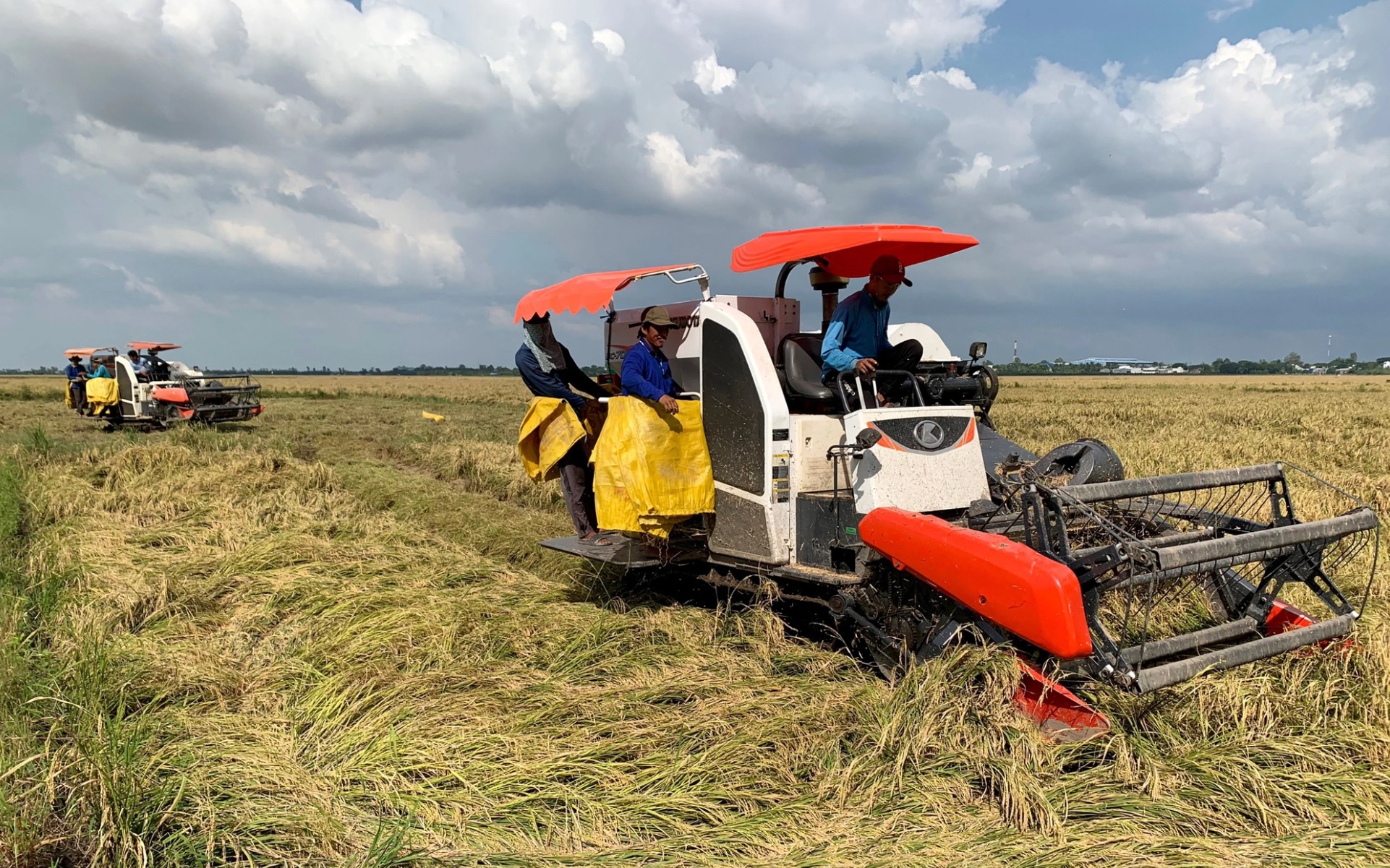 Nông nghiệp thích ứng thuận thiên