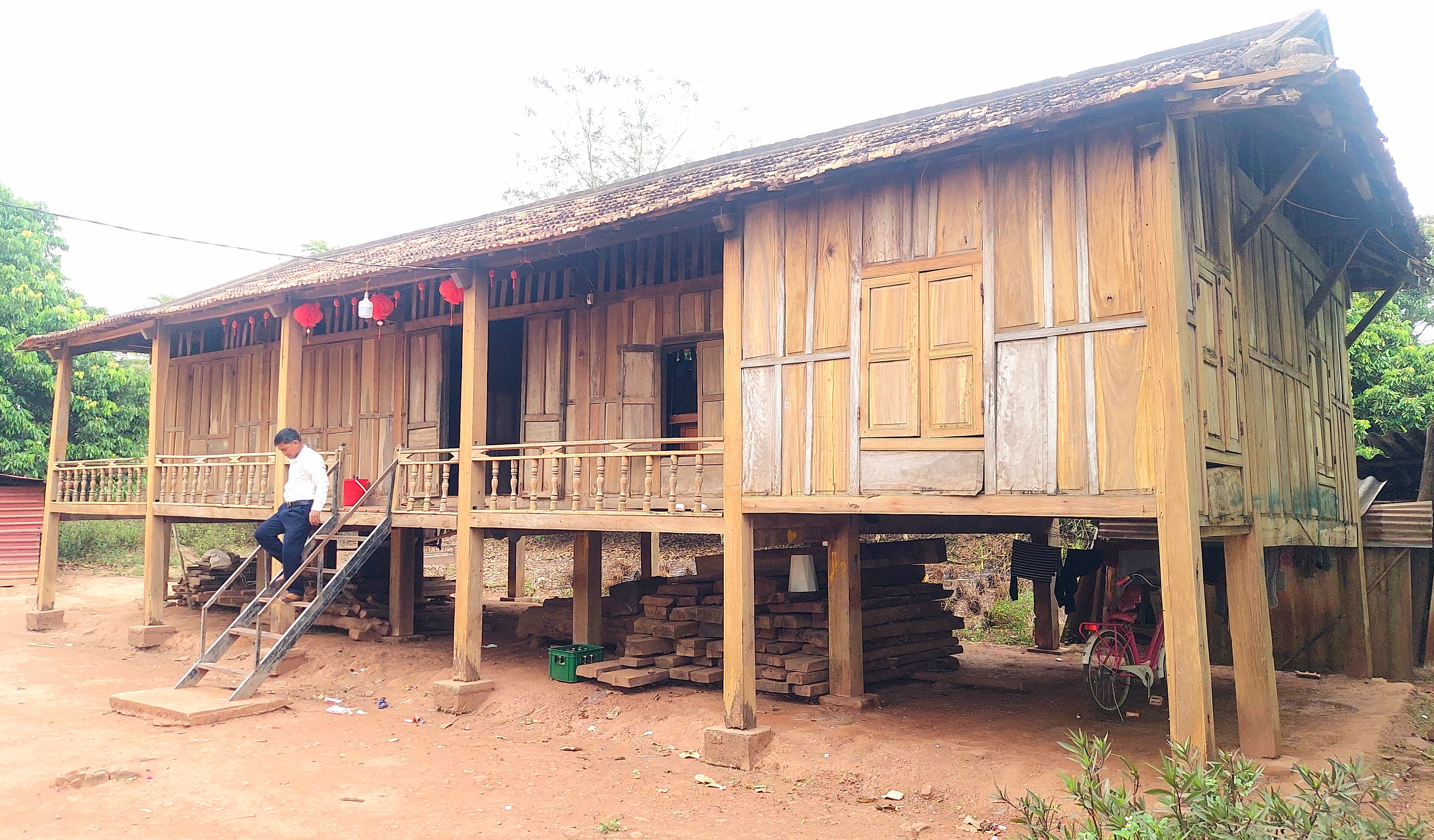 Lọt giữa vùng giáng hương cổ thụ- Ảnh 1.