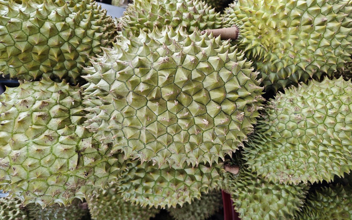 Vì sao 30 lô sầu riêng xuất khẩu bị Trung Quốc cảnh báo?