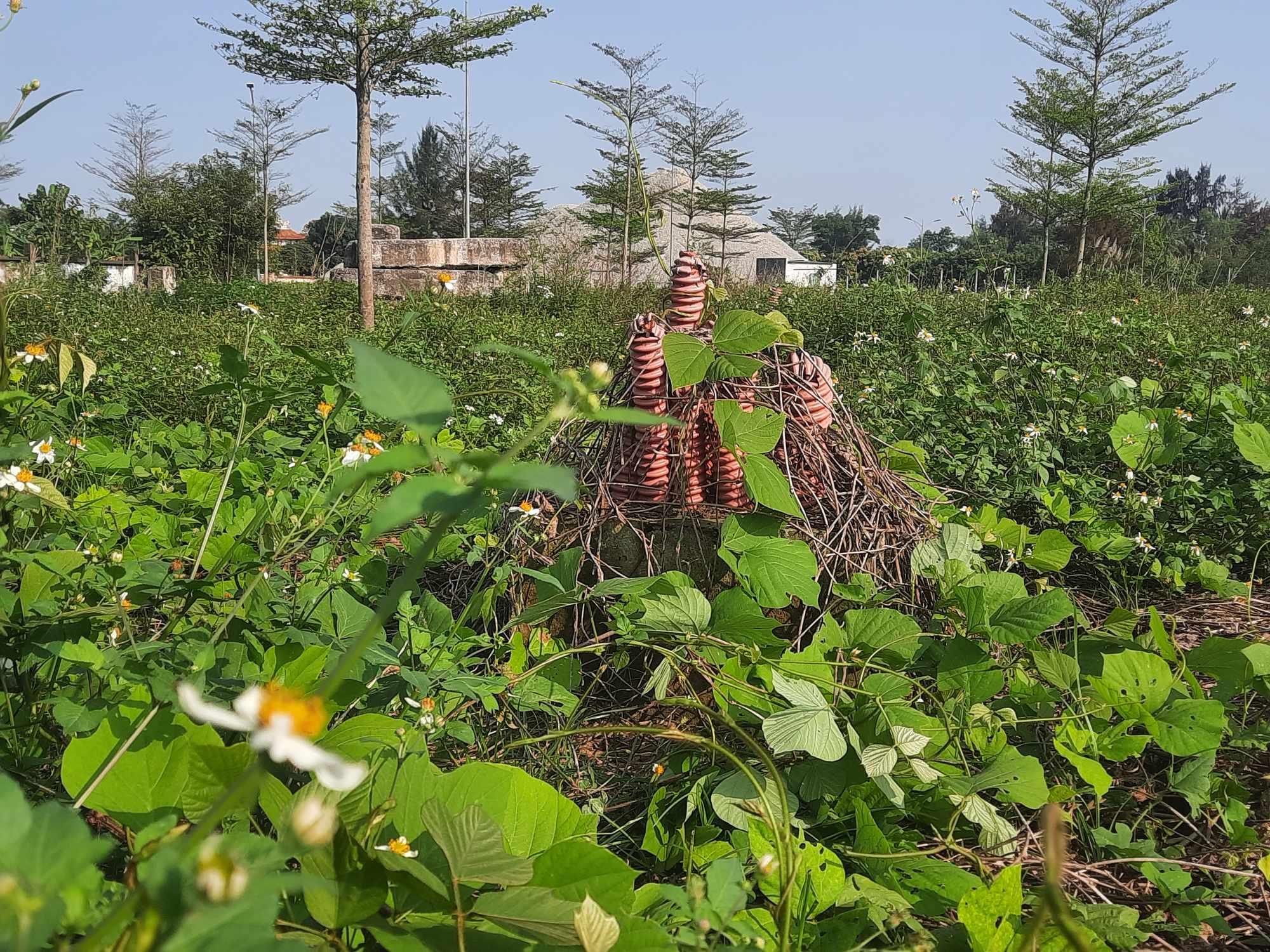Cận cảnh dự &aacute;n hơn 1.200 tỉ đồng &ldquo;đắp chiếu&rdquo; 7 năm qua tr&ecirc;n khu đất v&agrave;ng ở H&agrave; Tĩnh- Ảnh 15.