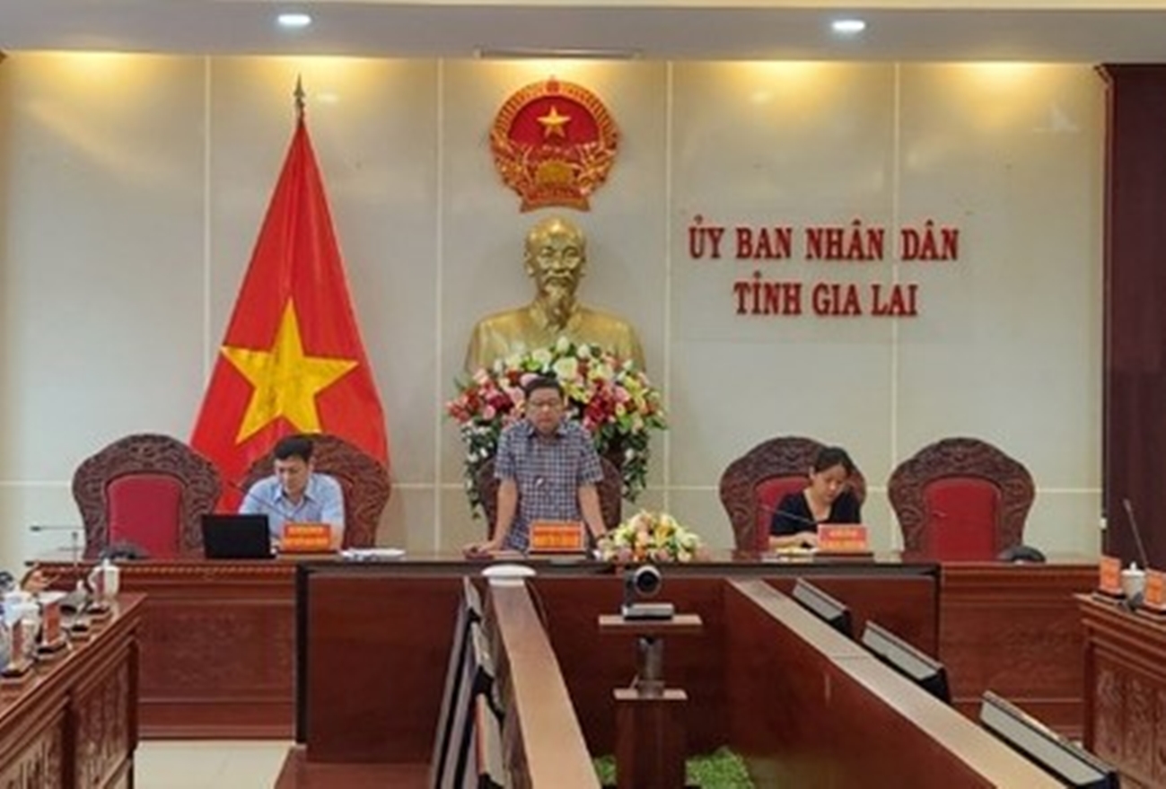 Ch&aacute;nh Văn ph&ograve;ng UBND tỉnh Gia Lai xin nghỉ hưu trước tuổi- Ảnh 1.
