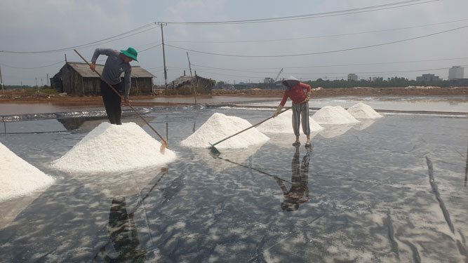 Di&ecirc;m d&acirc;n C&agrave; Mau v&agrave; Bạc Li&ecirc;u năm nay kh&ocirc;ng hưởng được niềm vui trọn vẹn v&igrave; muối tr&uacute;ng m&ugrave;a mất gi&aacute;