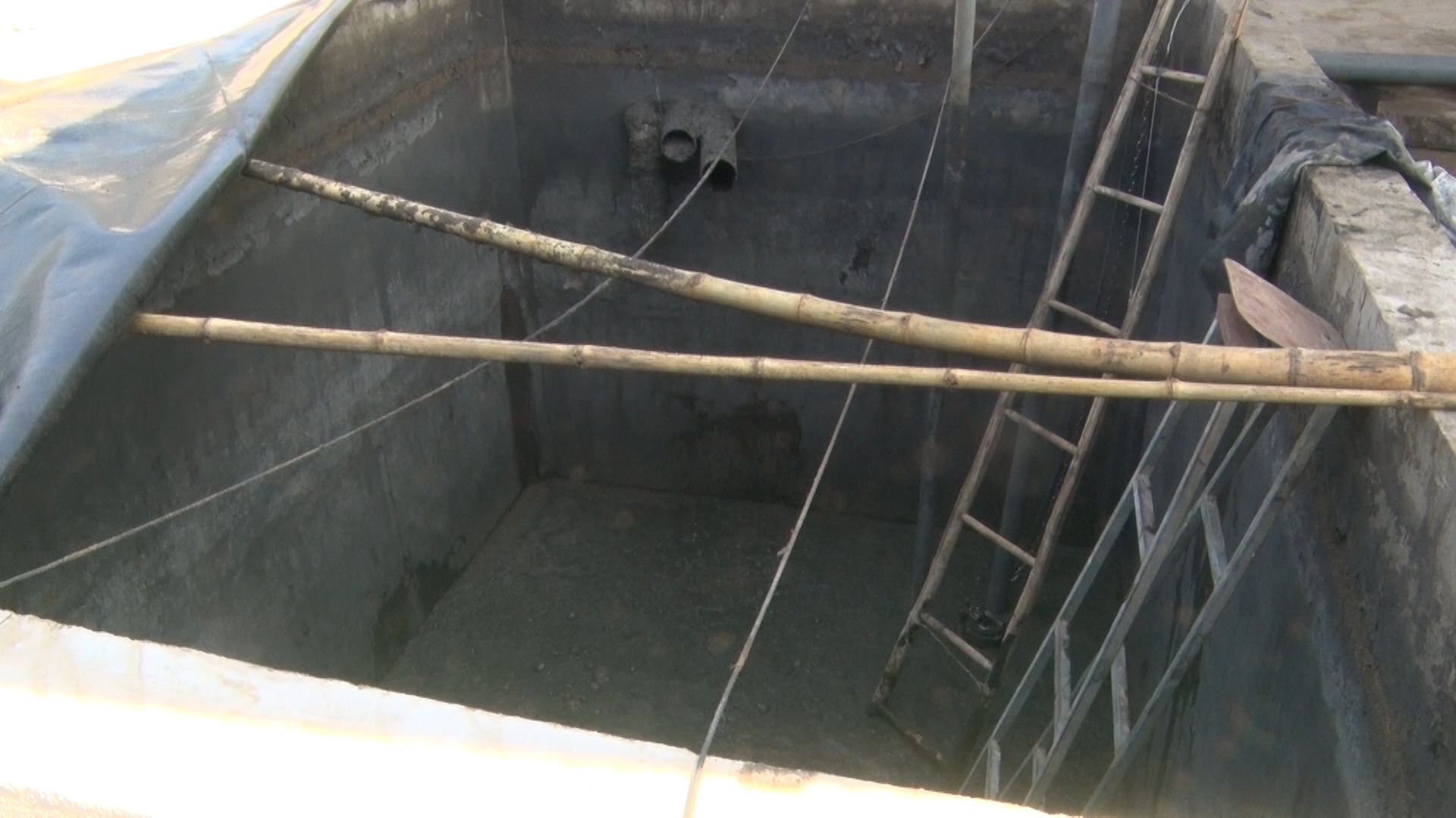 Thương t&acirc;m: 3 người tử vong trong trại heo ở Đồng Nai- Ảnh 1.