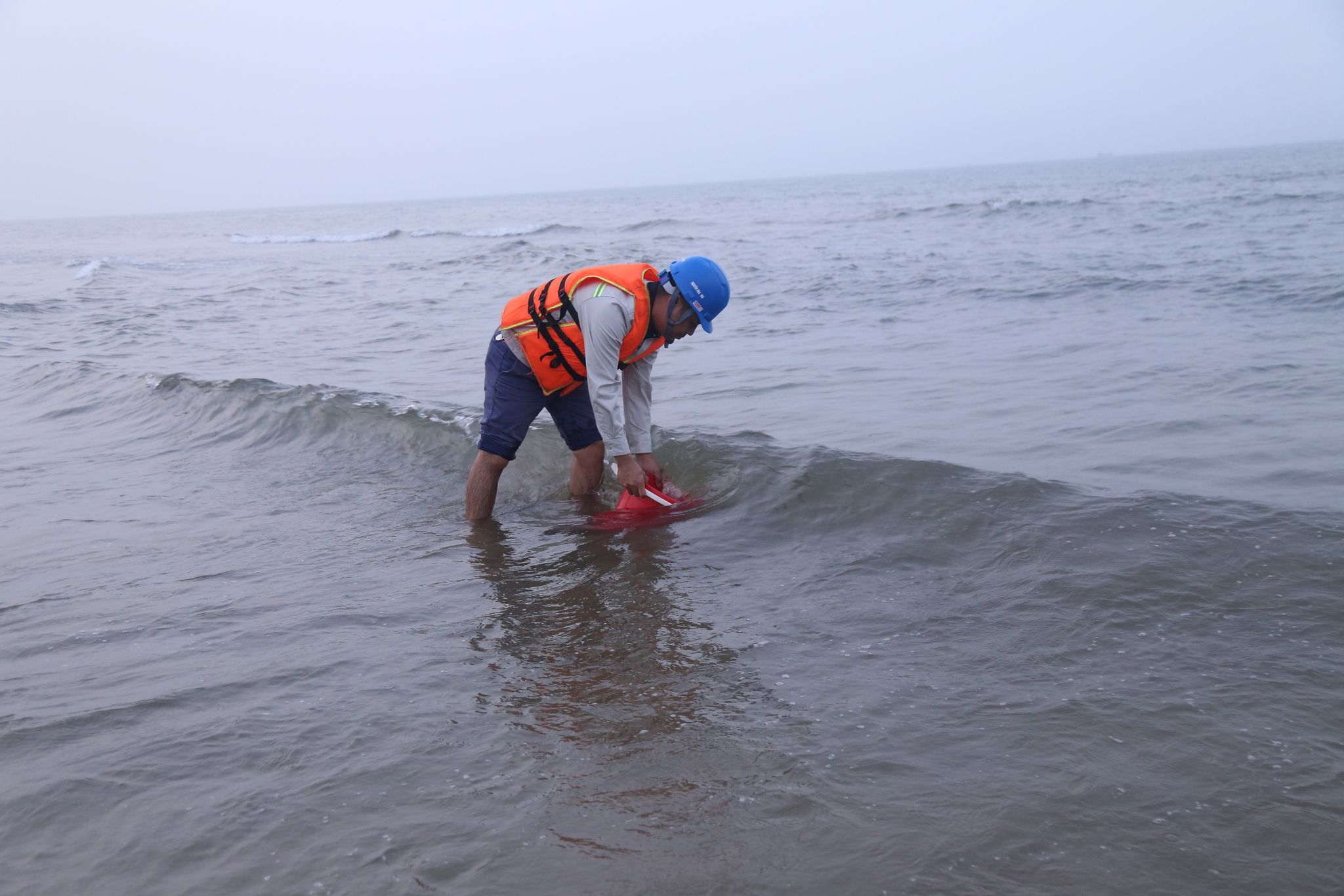 Ngư d&acirc;n tiếp tục ra khơi đ&aacute;nh bắt hải sản, sau sự việc nước biển chuyển sang m&agrave;u đỏ- Ảnh 2.