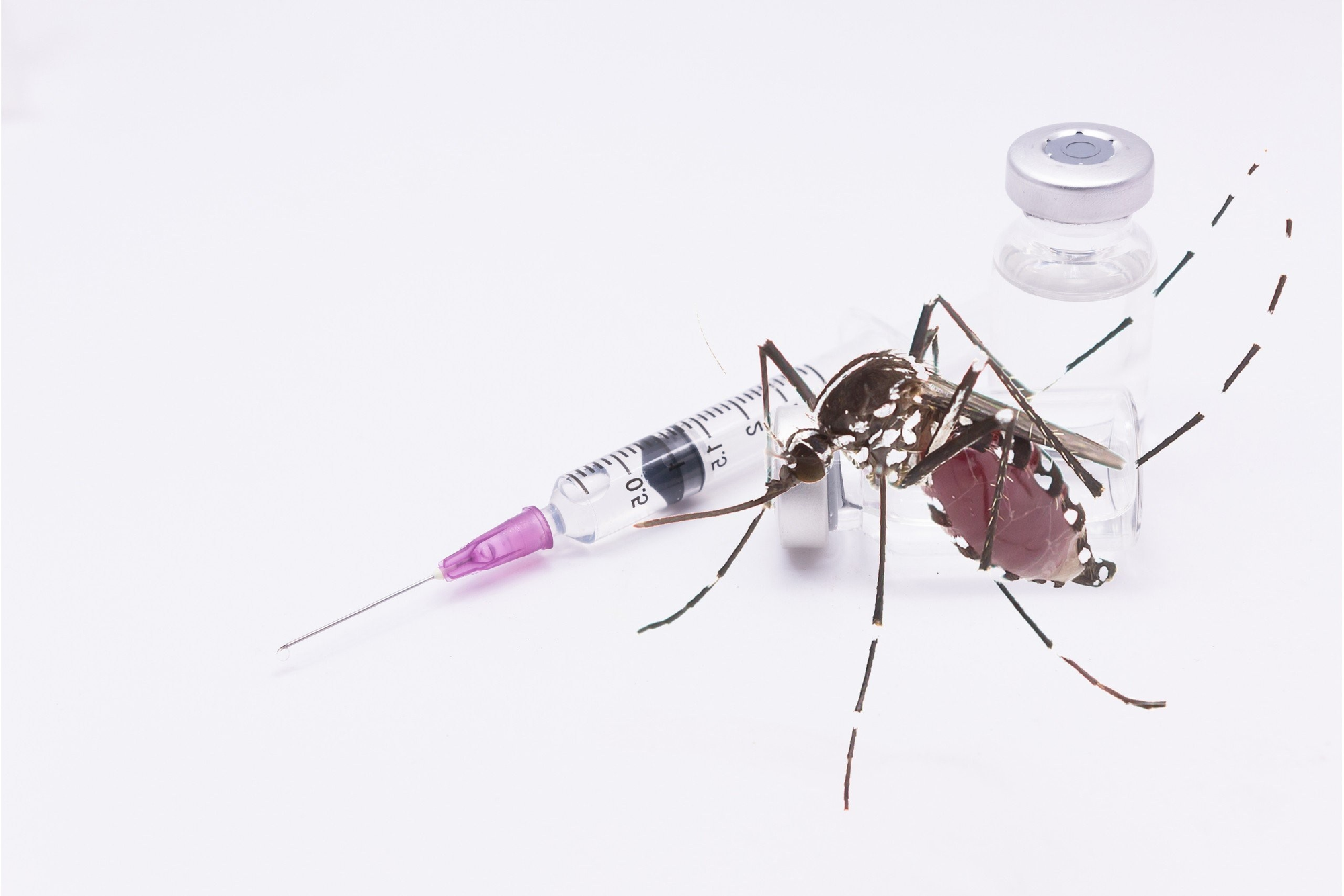 A bug on a syringe Description automatically generated
