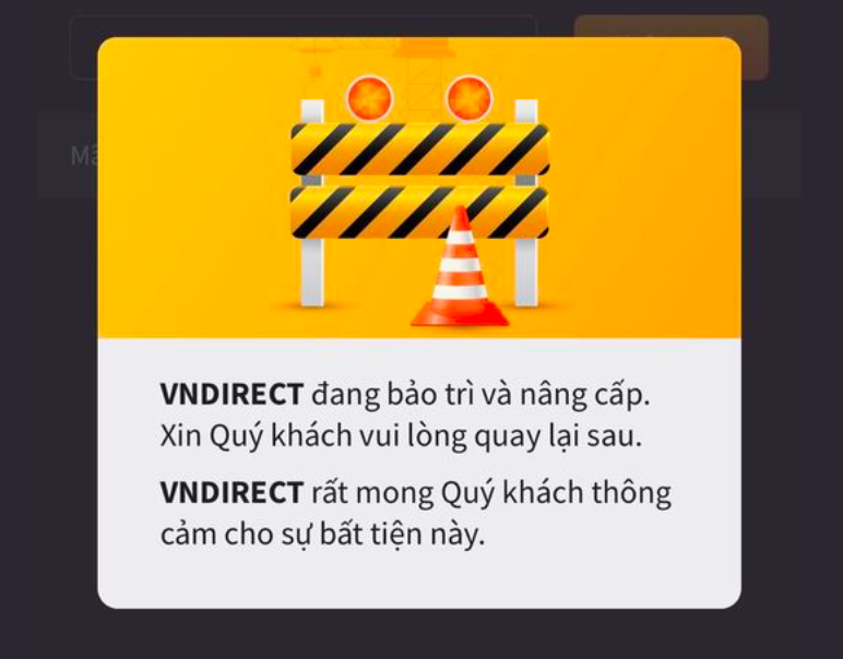 VNDirect c&ocirc;ng bố lộ tr&igrave;nh khắc phục hệ thống v&agrave; ch&agrave;o b&aacute;n gần 244 triệu cổ phiếu- Ảnh 1.