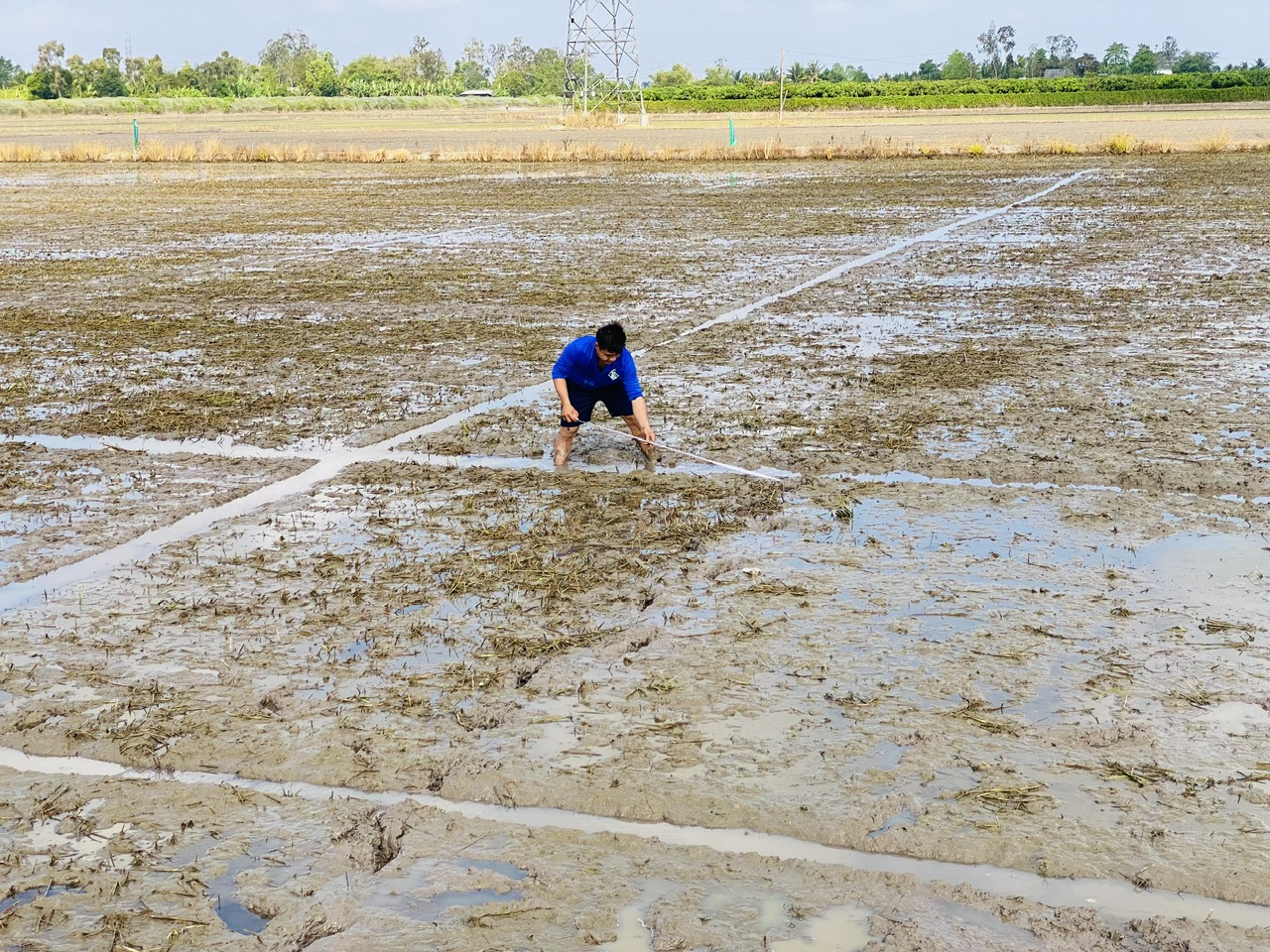 Xâm nhập mặn ở ĐBSCL gây thiệt hại hàng chục ngàn tỉ đồng mỗi năm- Ảnh 2.