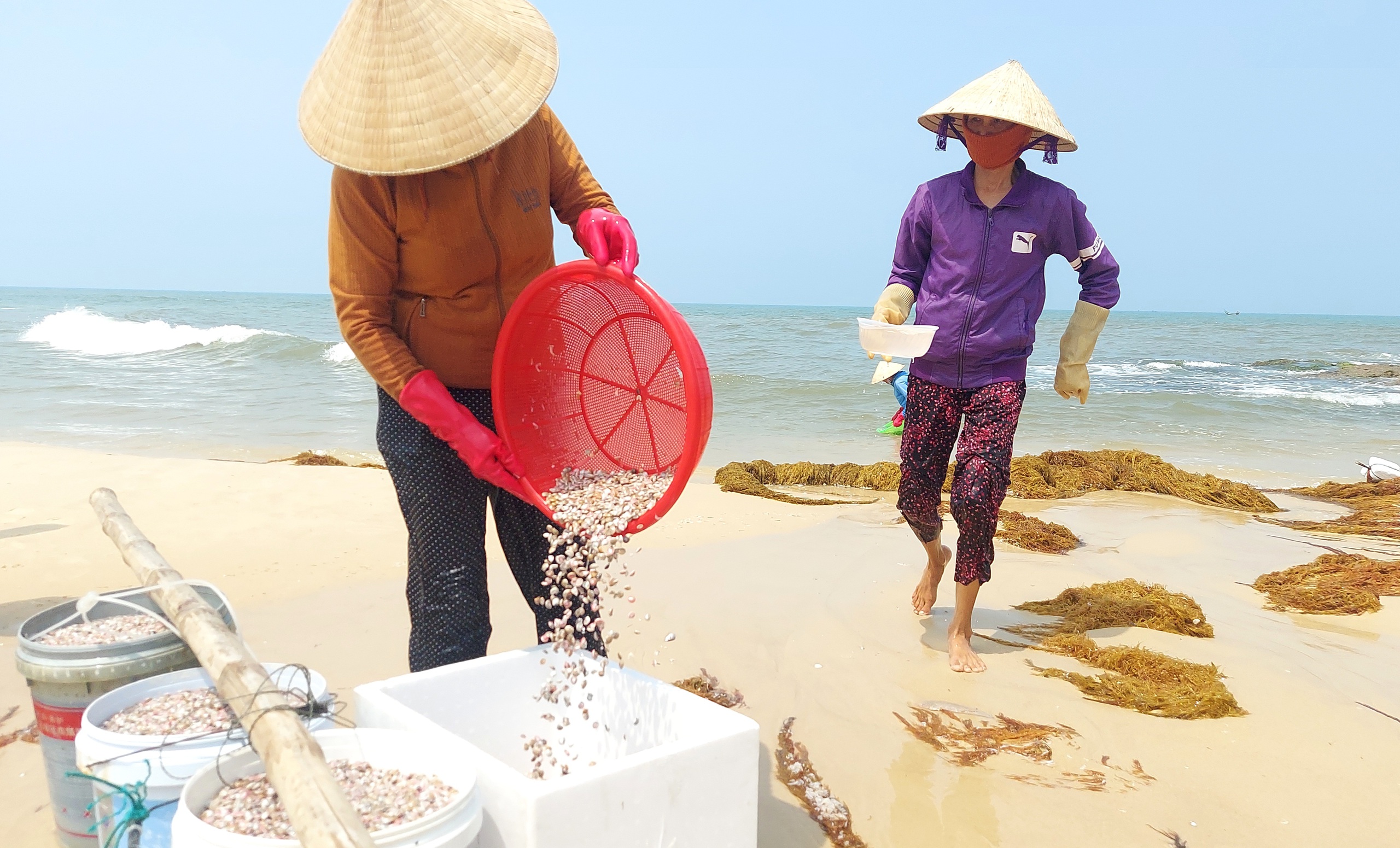 Cào ốc chép kiếm tiền triệu mỗi ngày ở Mỹ Thủy- Ảnh 5.