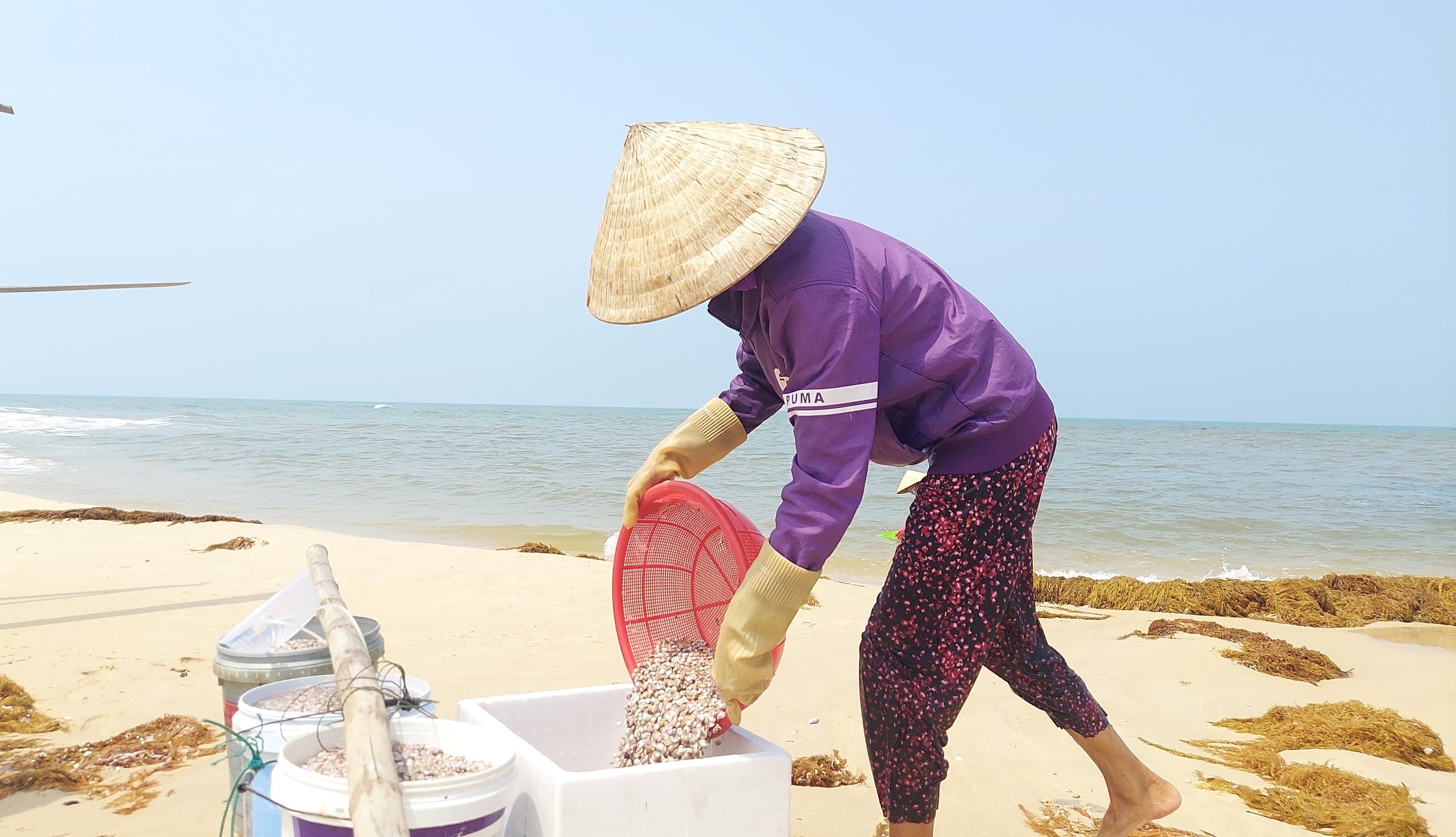 Cào ốc chép kiếm tiền triệu mỗi ngày ở Mỹ Thủy- Ảnh 4.