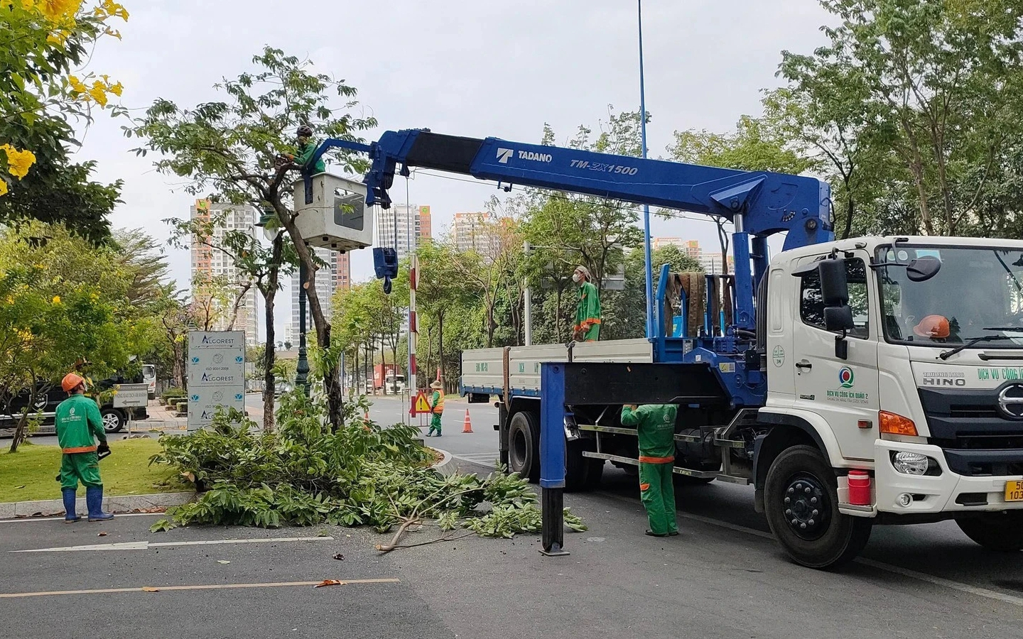 Sắp dịch chuyển, chặt hạ hơn 200 cây xanh khu vực nút giao thông An Phú
