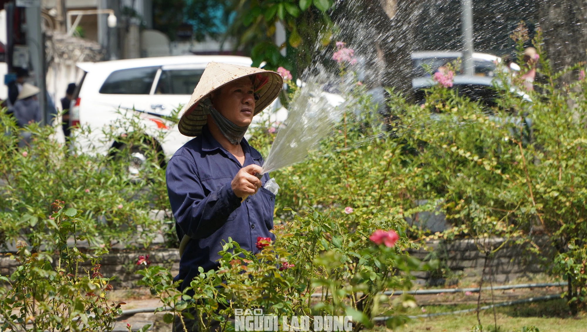Cận cảnh vườn hồng nở quanh năm giữa lòng TP HCM- Ảnh 13.