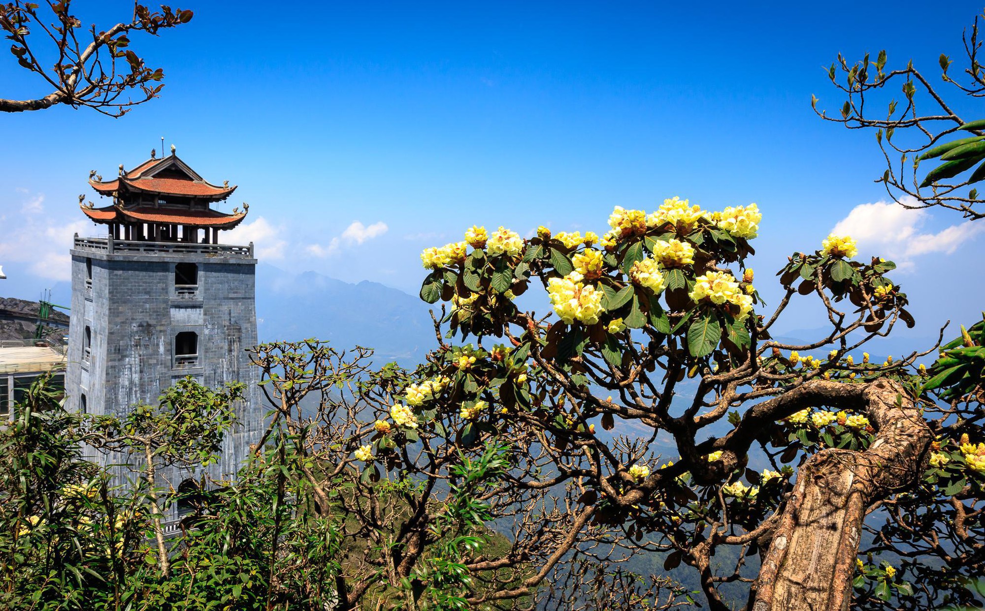 Lễ V&iacute;a Qu&aacute;n Thế &Acirc;m Bồ T&aacute;t đản sinh sẽ diễn ra lần đầu ti&ecirc;n tr&ecirc;n đỉnh thi&ecirc;ng Fansipan v&agrave;o ng&agrave;y 28-3- Ảnh 3.