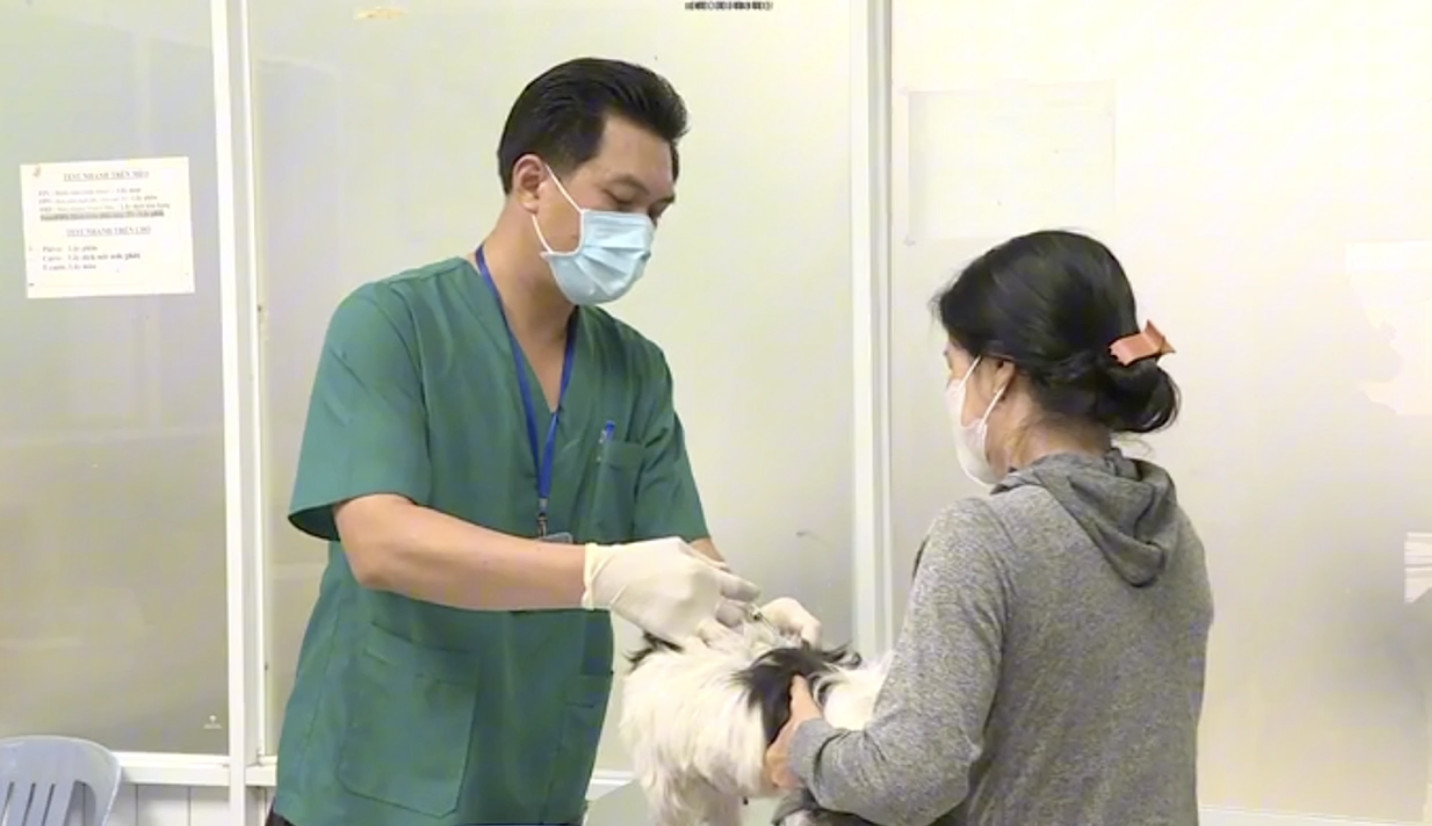 TP HCM đang tổ chức ti&ecirc;m vắc-xin dại đại tr&agrave; cho ch&oacute;, m&egrave;o - Ảnh 1.