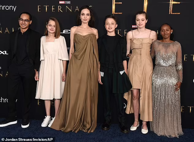 Brad Pitt ngừng tranh quyền nu&ocirc;i con c&ugrave;ng Angelina Jolie- Ảnh 4.