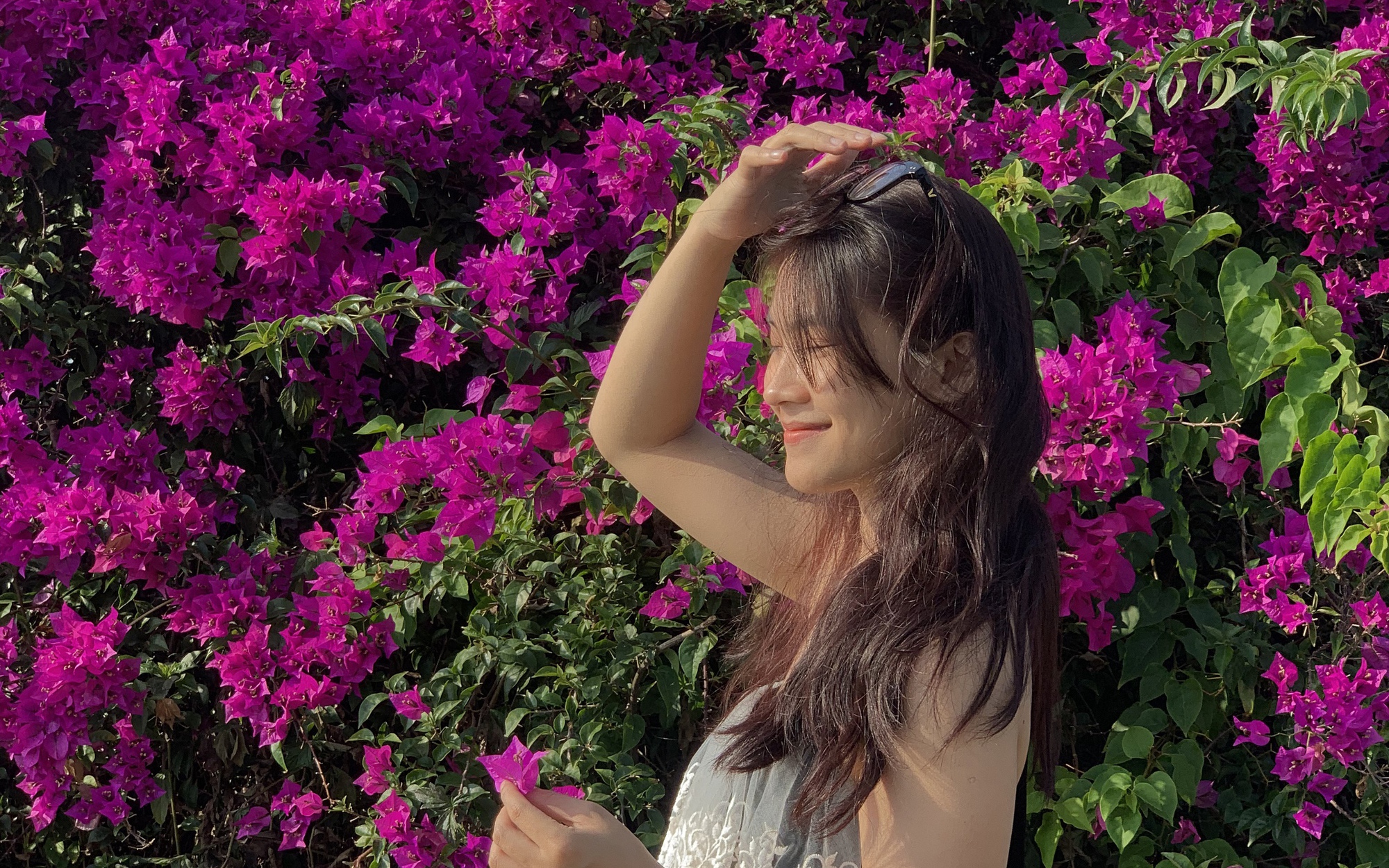 Giới trẻ Đ&agrave; Nẵng &ldquo;ph&aacute;t sốt&rdquo; với m&ugrave;a hoa giấy nở dọc bờ s&ocirc;ng H&agrave;n