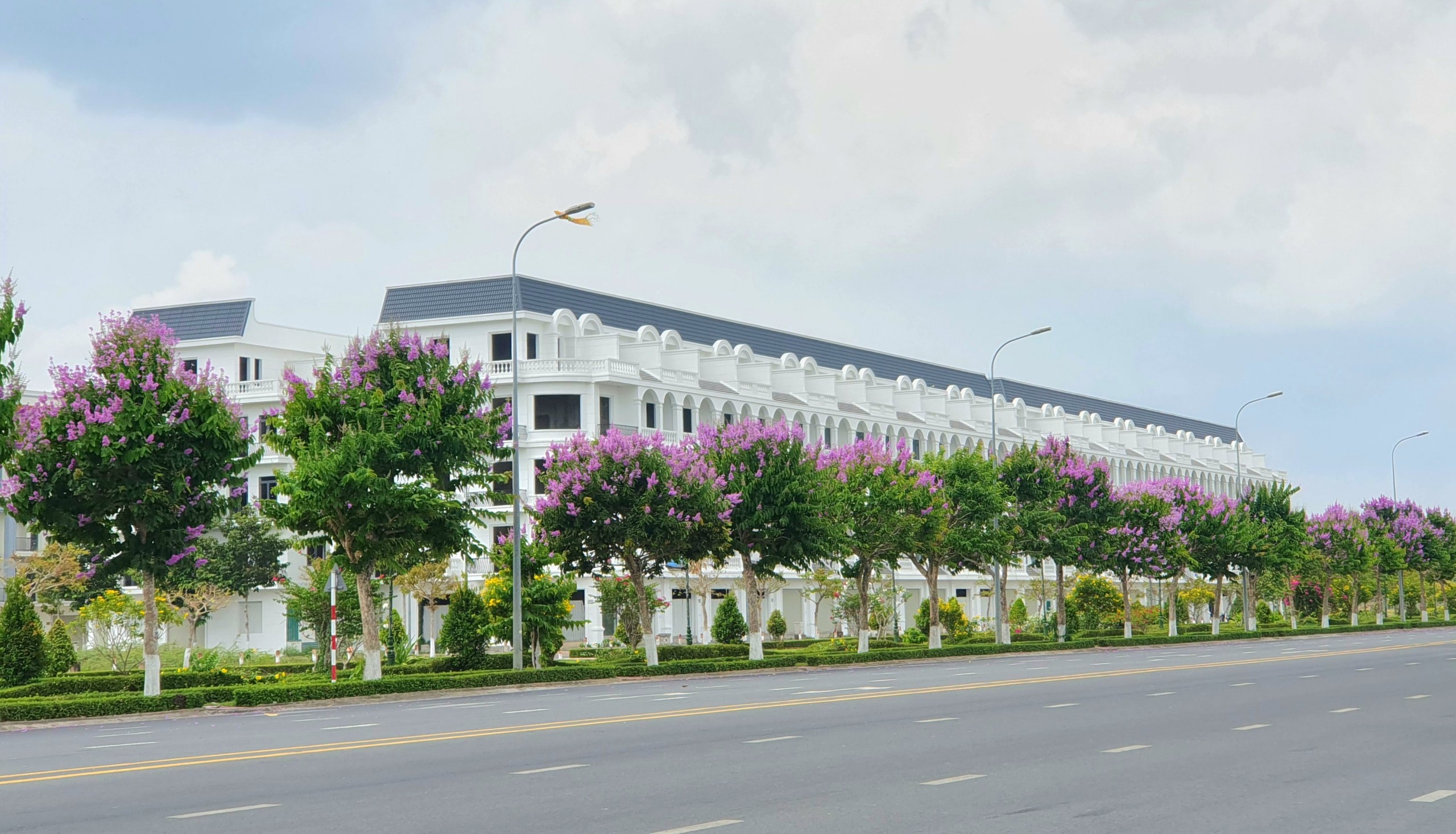 Con đường hoa bằng lăng rực rỡ sắc t&iacute;m 