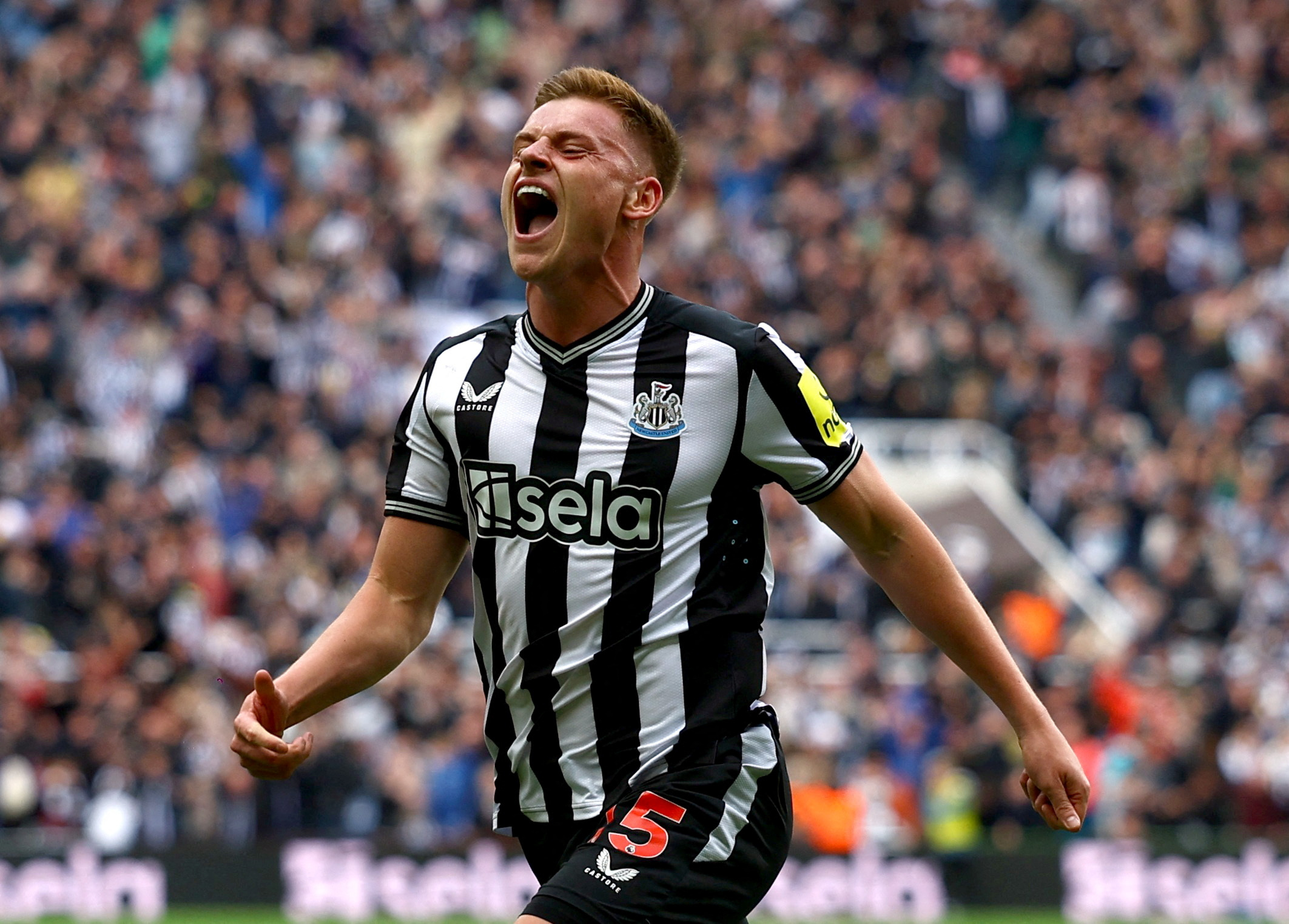 Rượt đuổi 7 bàn, Newcastle thắng nghẹt thở West Ham - Ảnh 8.