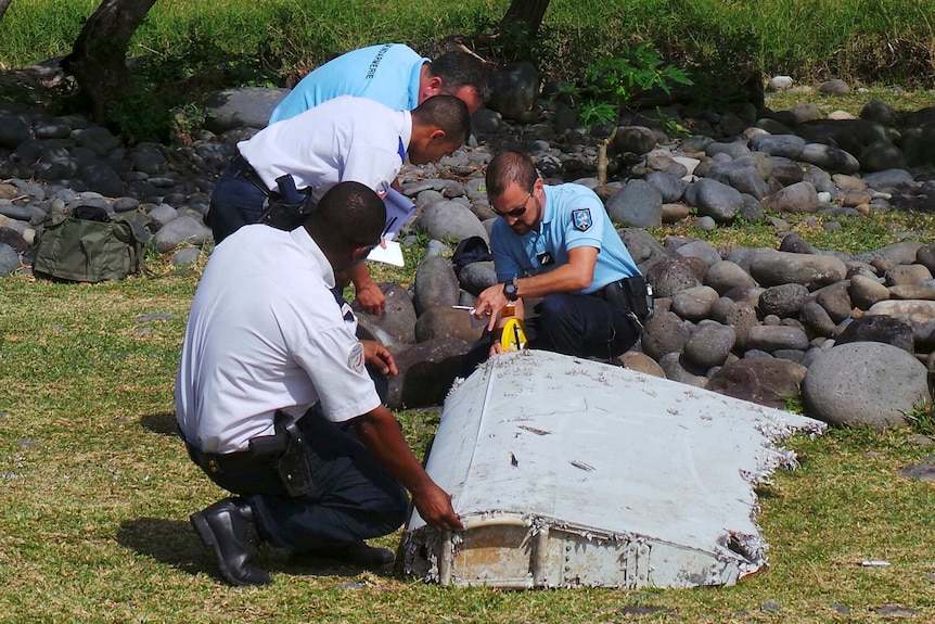 MH370 mất t&iacute;ch 10 năm, c&ocirc;ng ty Mỹ tiết lộ đề xuất đặc biệt- Ảnh 2.