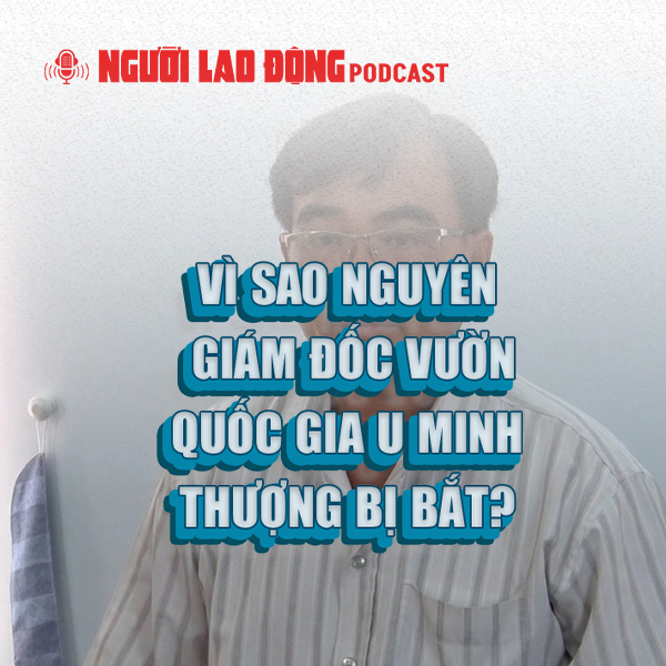 Vì sao nguyên Giám đốc Vườn Quốc gia U Minh Thượng bị bắt?