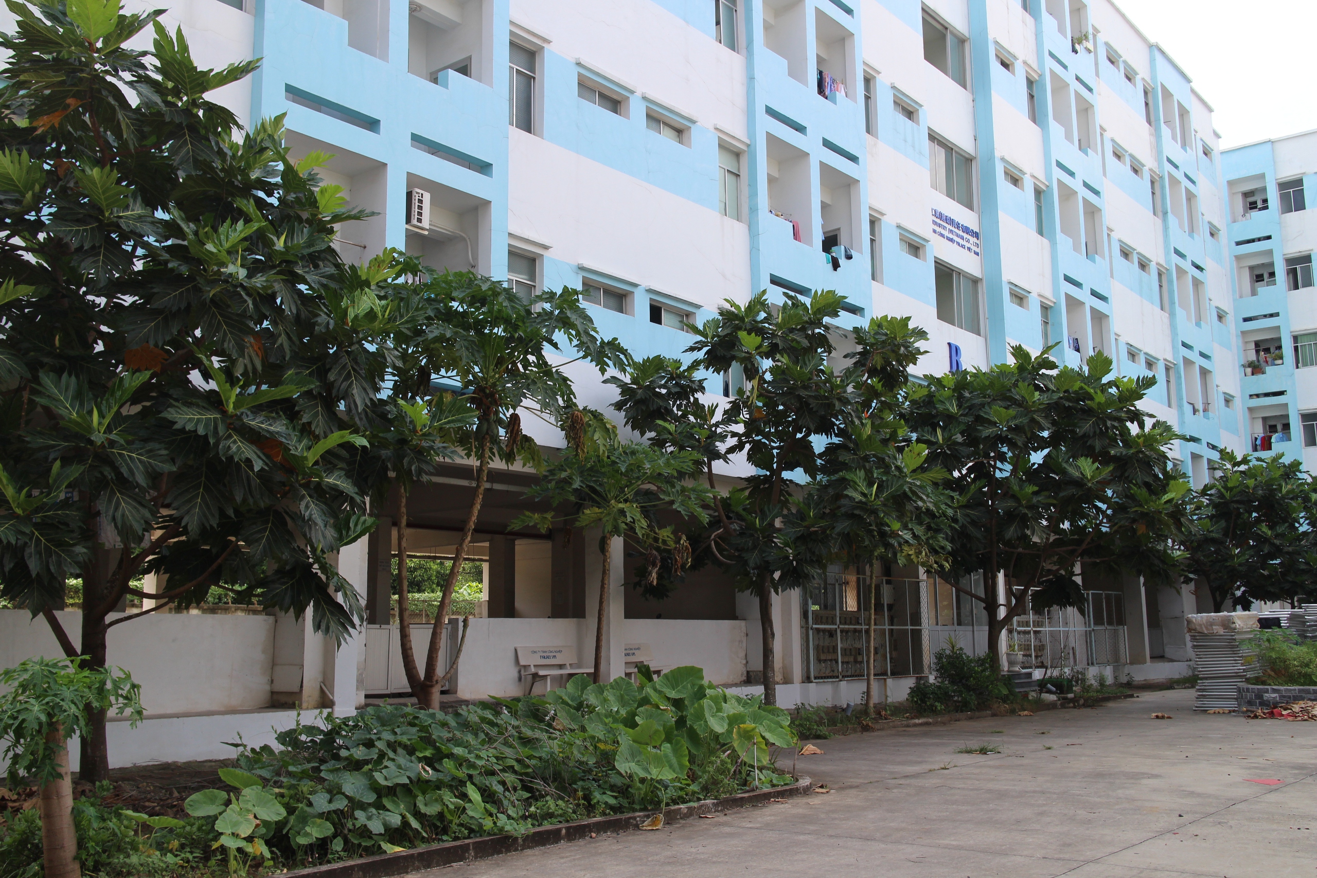 C&ocirc;ng nh&acirc;n kh&oacute; mơ nh&agrave; ở x&atilde; hội- Ảnh 5.