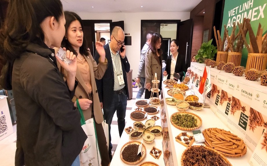 Việt Nam là thủ phủ sản xuất hồ tiêu của thế giới hơn 20 năm qua