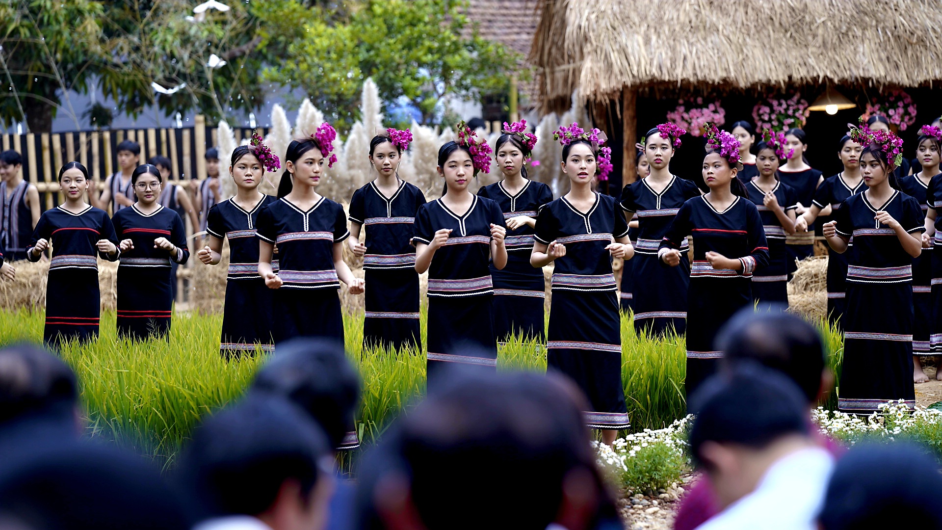 S&ocirc;i động chương tr&igrave;nh nghệ thuật 
