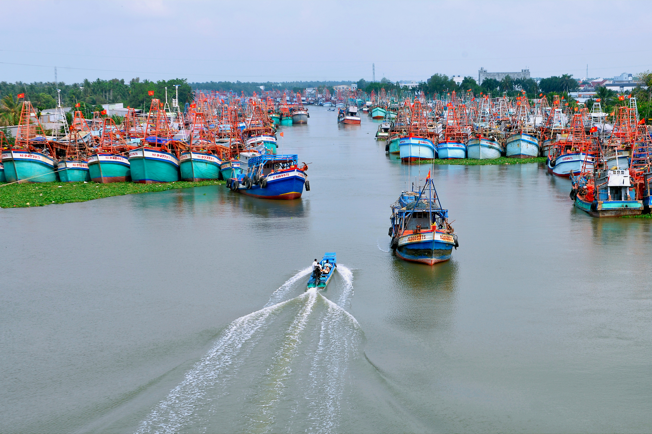NHỘN NHỊP CẢNG CÁ TẮC CẬU NGUYỄN ĐOÀN KẾT