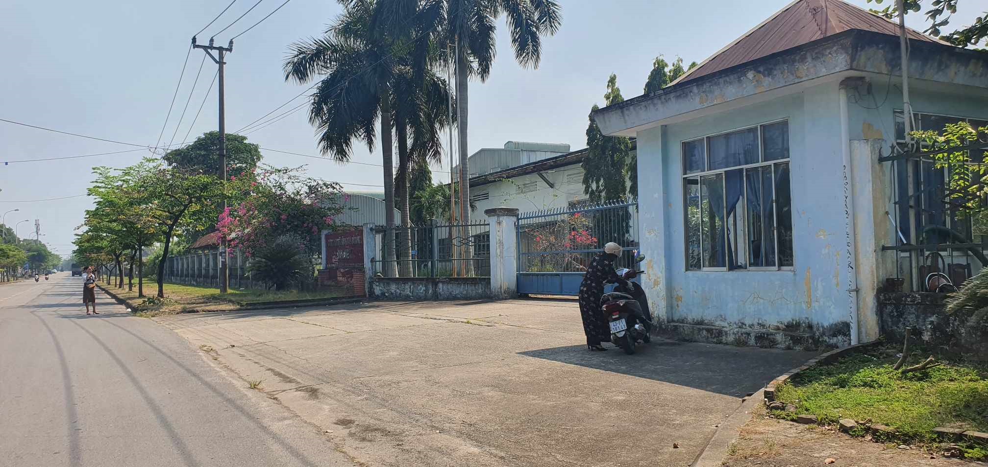 Công nhân may tại Đà Nẵng ngưng việc đòi lương- Ảnh 1.