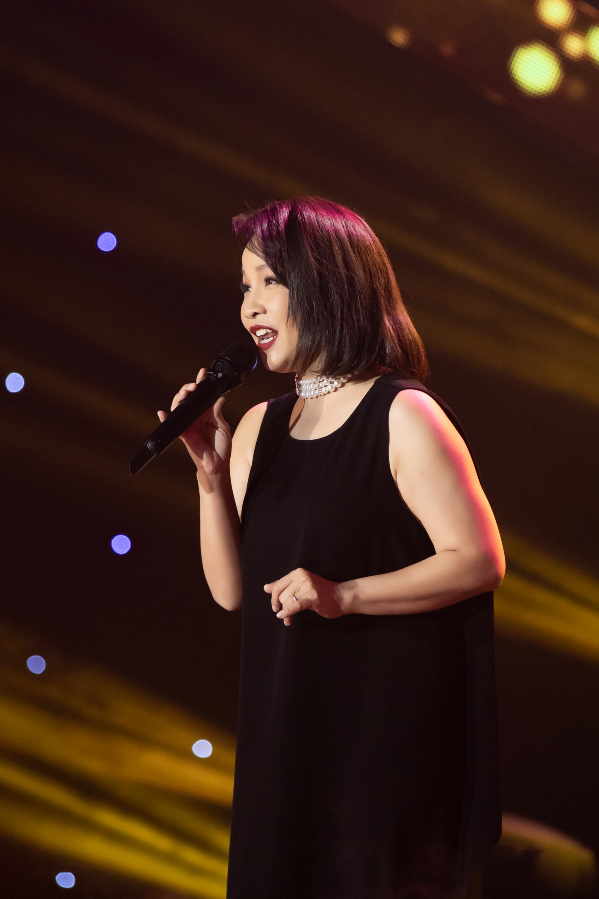 Khi Mỹ Linh h&aacute;t bolero

- Ảnh 2.