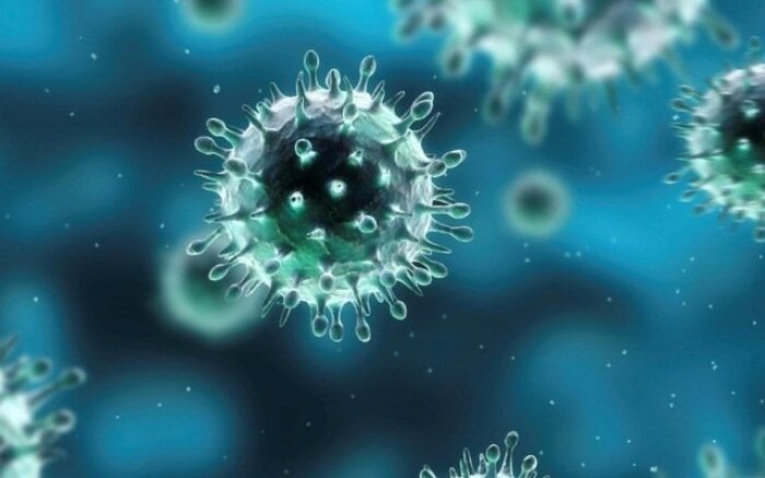 Sức khoẻ ca nhiễm cúm gia cầm H9N2 ở Tiền Giang thế nào?