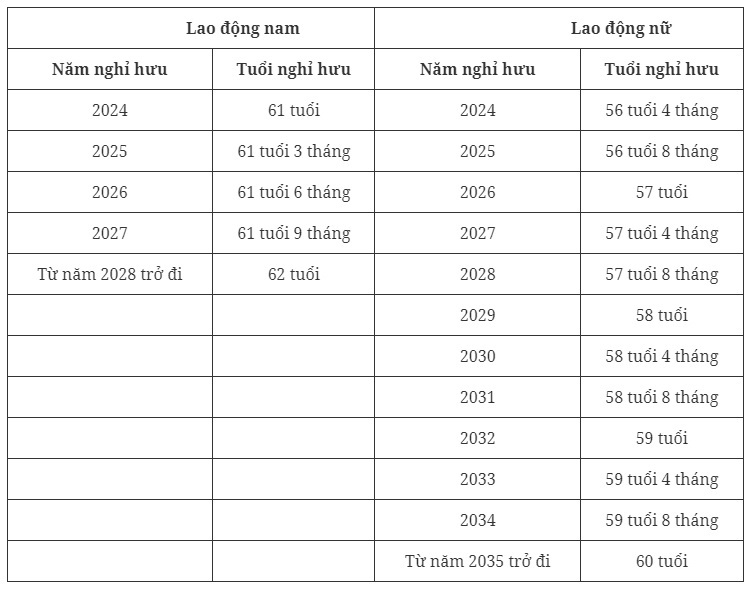 Tuổi nghỉ hưu của người lao động năm 2024 là bao nhiêu?- Ảnh 2.