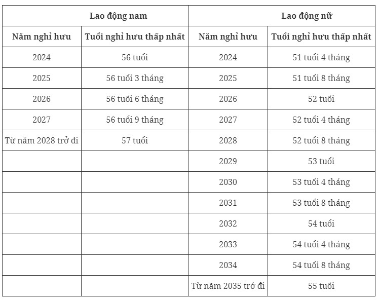 Tuổi nghỉ hưu của người lao động năm 2024 là bao nhiêu?- Ảnh 3.