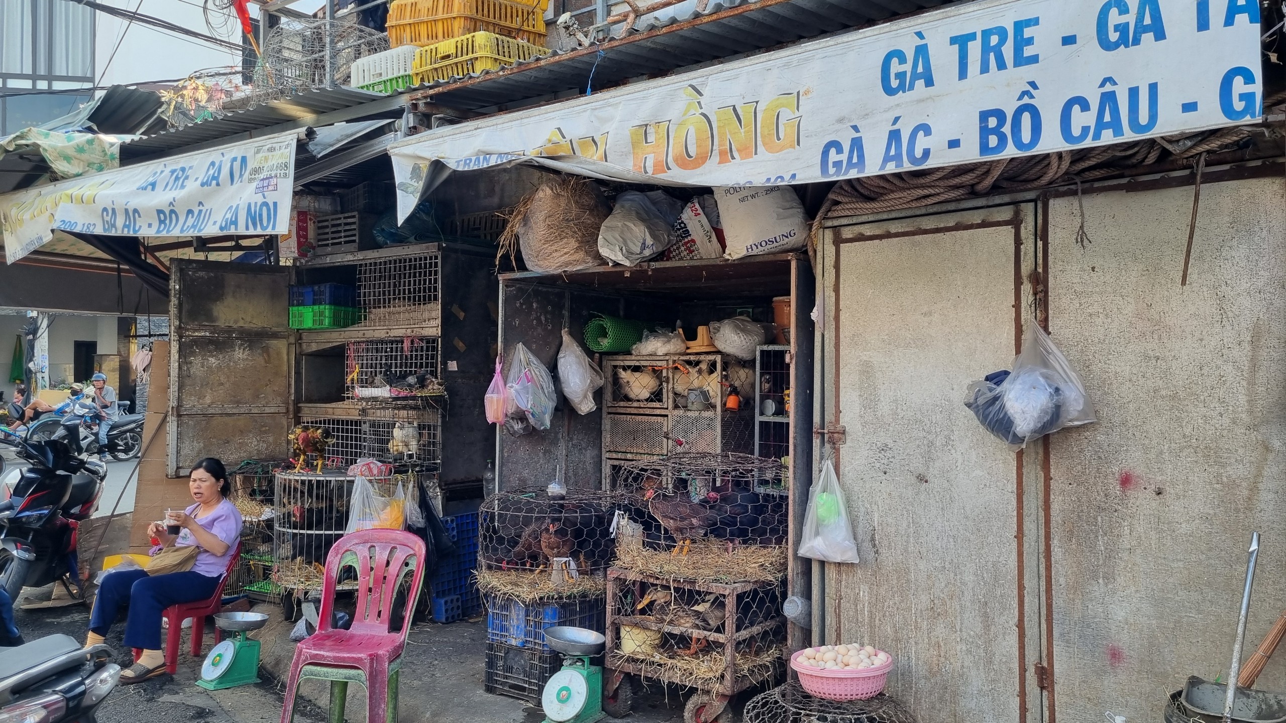 Nhiều quán cơm gà ở Nha Trang đóng cửa, tiểu thương mong "minh oan" cho thịt gà- Ảnh 2.