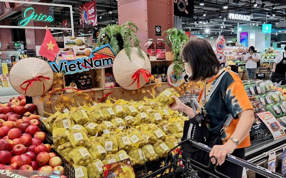 Mở rộng chuỗi cung ứng hàng Việt ra thế giới