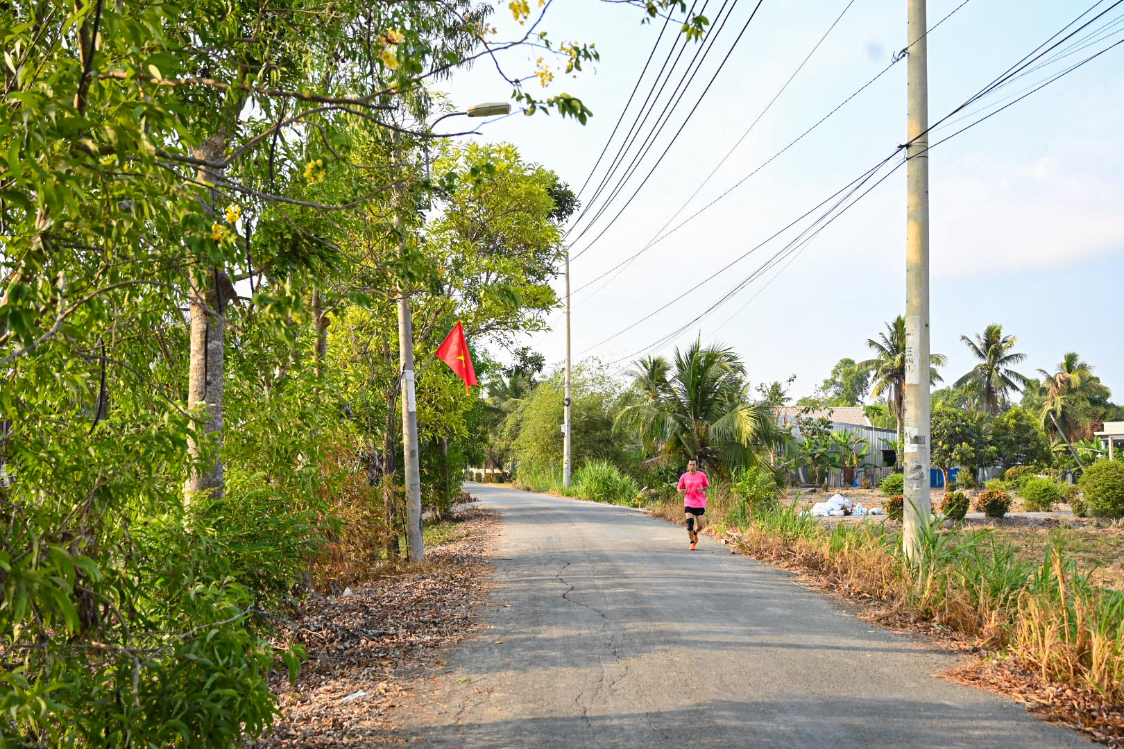 Chạy thử các cung đường giải half-marathon