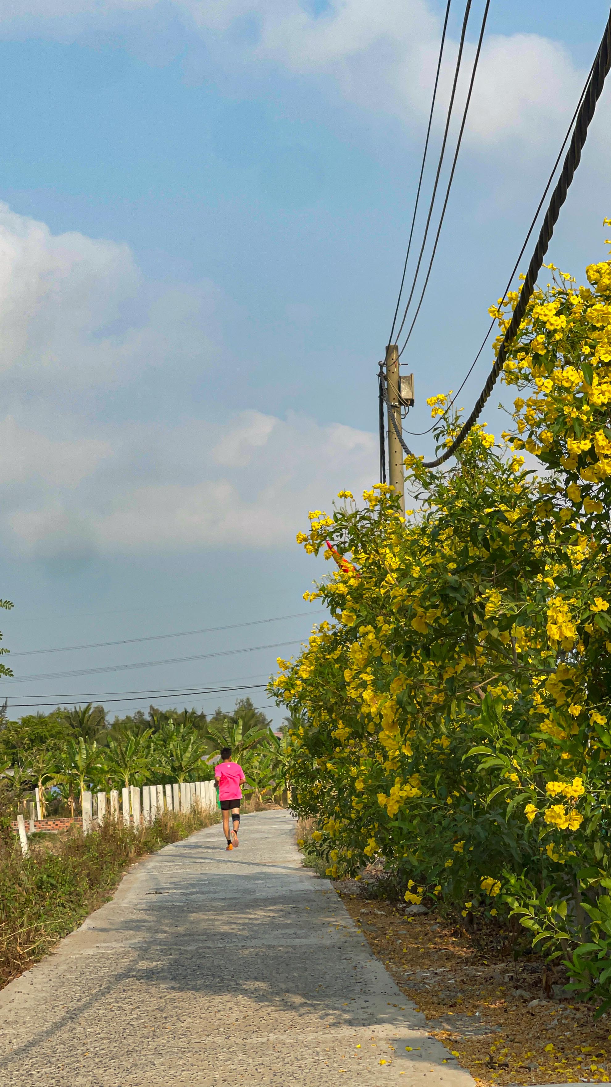 Chạy thử c&aacute;c cung đường giải half-marathon 