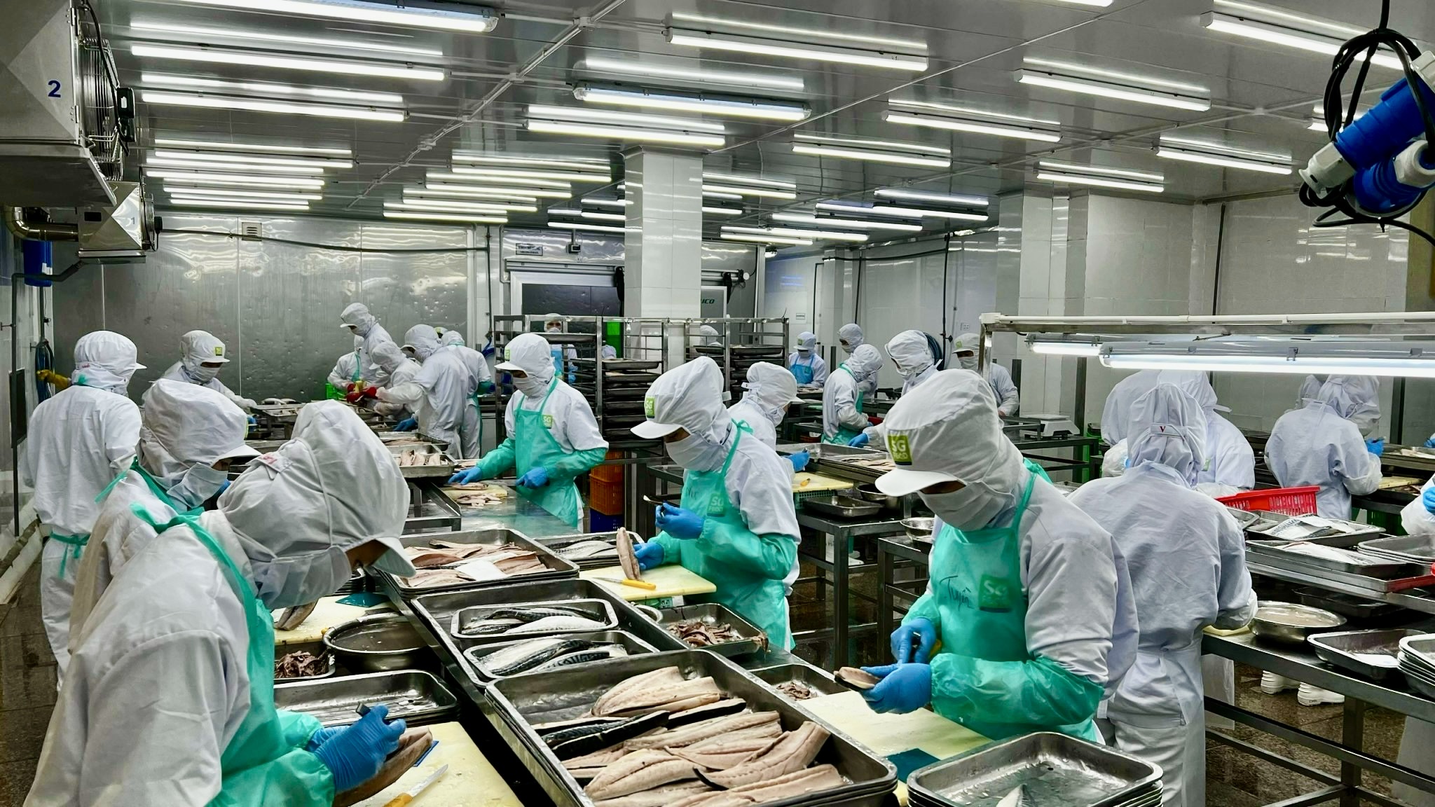 Được nghỉ lễ dài ngày, người lao động dự định gì?- Ảnh 1.