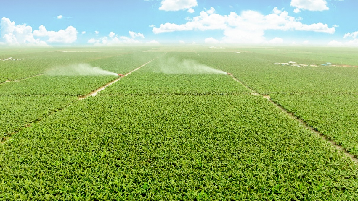 THACO AGRI tuyển dụng hơn 12.600 nh&acirc;n sự trong năm 2024- Ảnh 1.