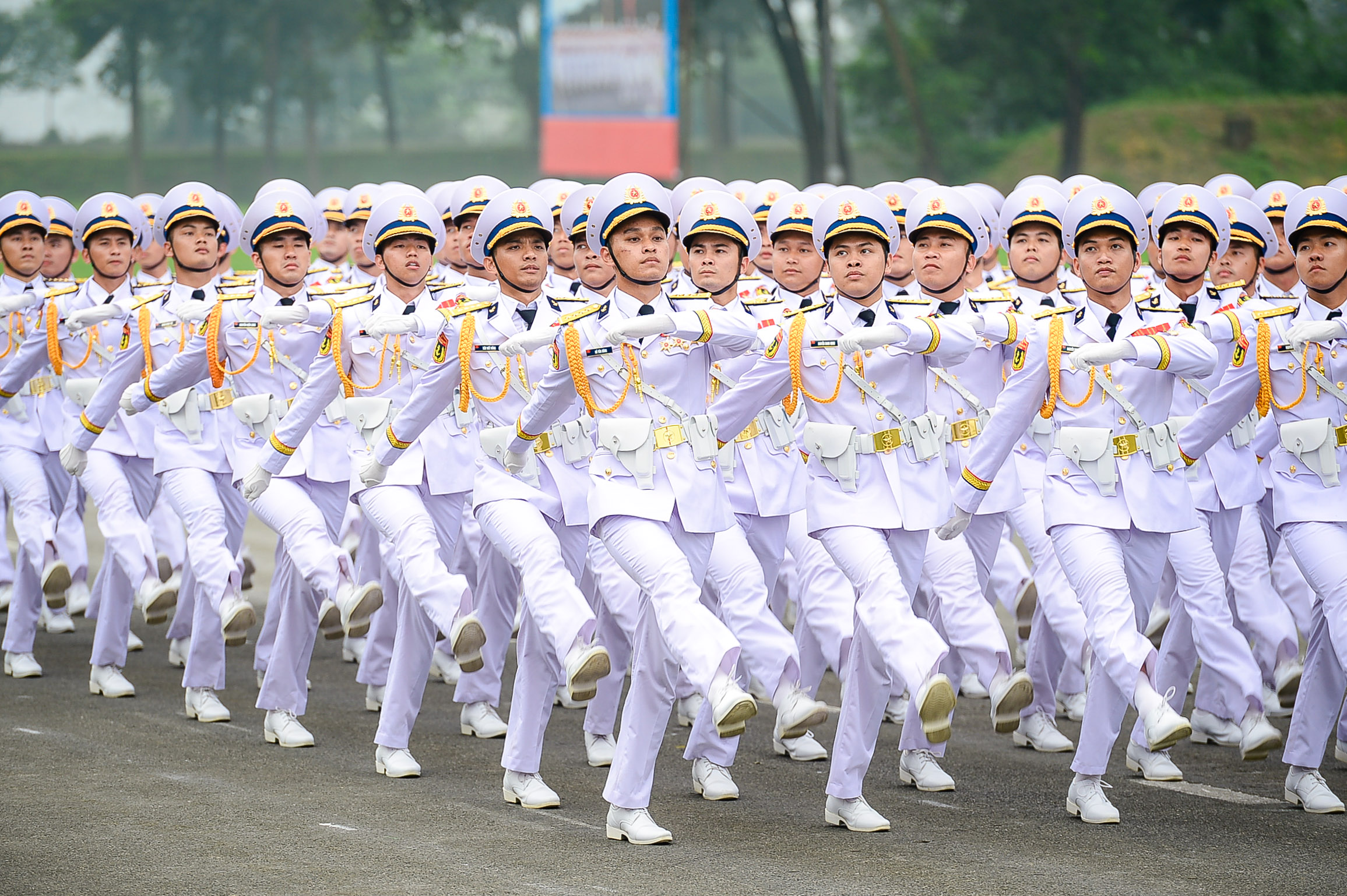 Ngắm