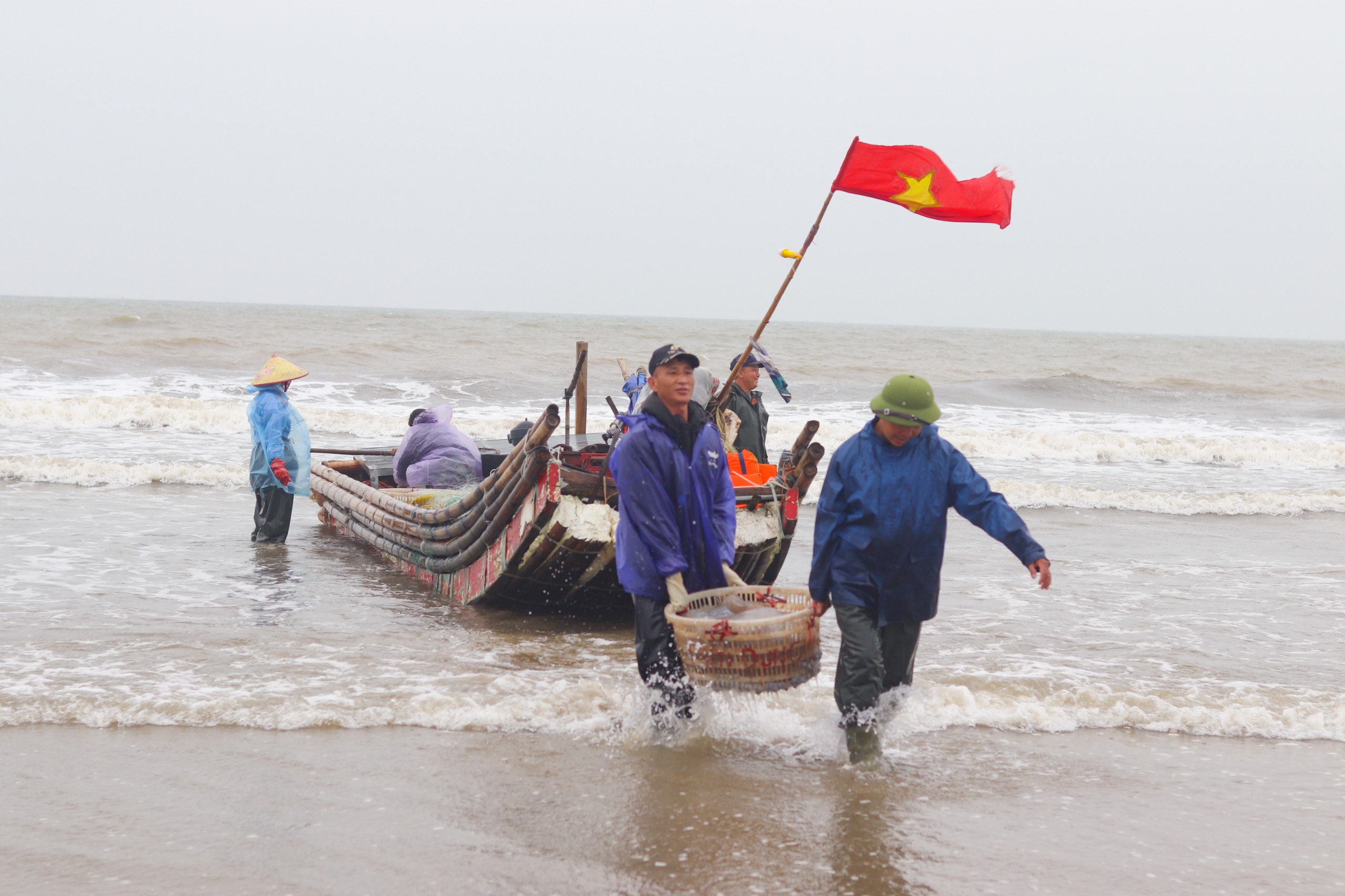 Vớt "v&agrave;ng trắng" tr&ecirc;n biển, ngư d&acirc;n Thanh H&oacute;a kiếm tiền triệu mỗi ng&agrave;y- Ảnh 1.