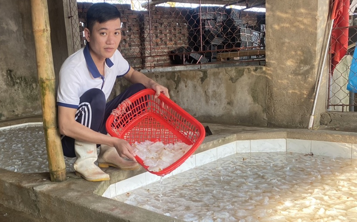 Vớt "v&agrave;ng trắng" tr&ecirc;n biển, ngư d&acirc;n Thanh H&oacute;a kiếm tiền triệu mỗi ng&agrave;y- Ảnh 10.