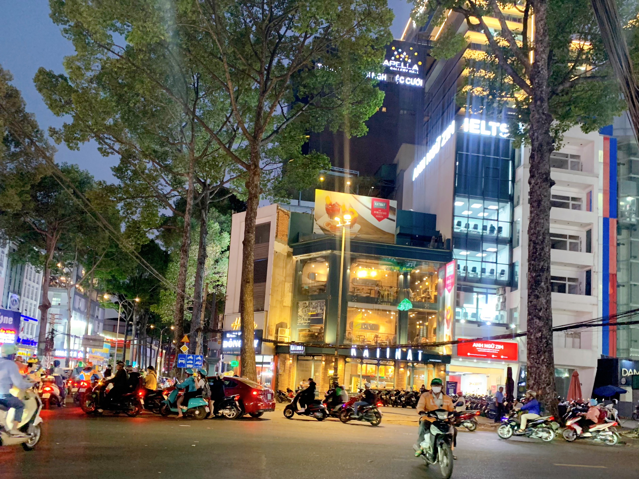 Thực hiện dự án Metro số 2: Tính lại phương án chặt hạ cây xanh- Ảnh 3.