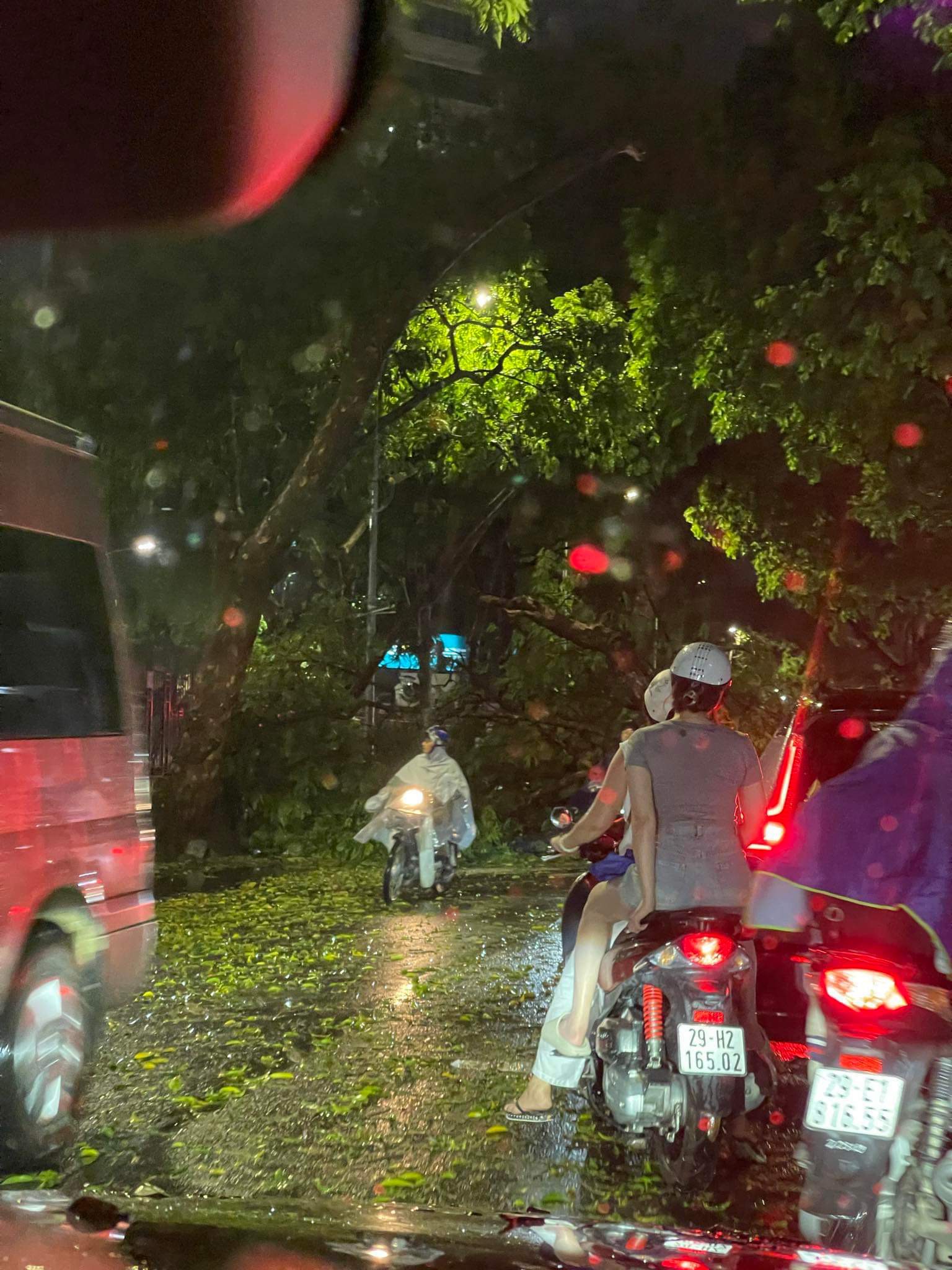 Hà Nội xuất hiện mưa đá, cây gãy đổ khắp nơi- Ảnh 4.