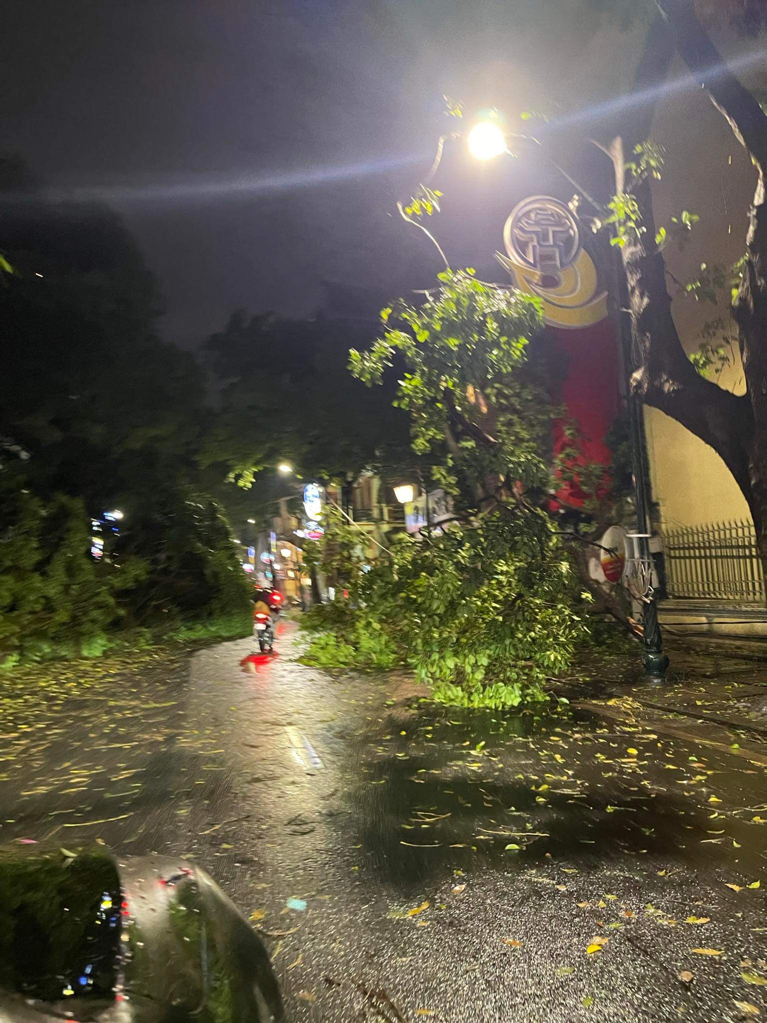 Hà Nội xuất hiện mưa đá, cây gãy đổ khắp nơi- Ảnh 5.