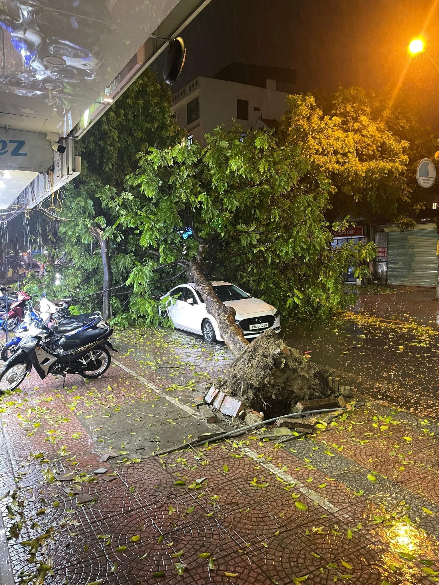 Hà Nội xuất hiện mưa đá, cây gãy đổ khắp nơi- Ảnh 6.