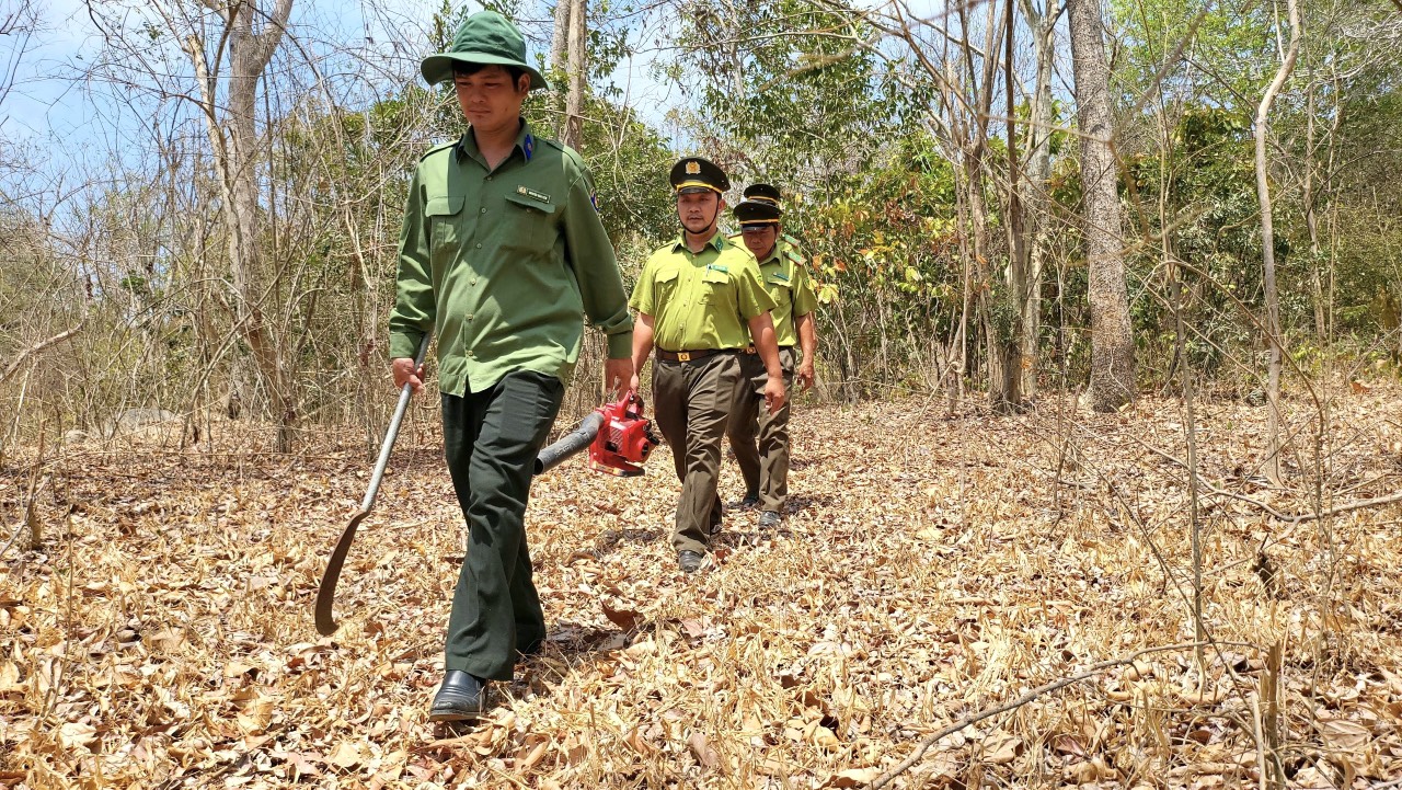Bà Rịa - Vũng Tàu: Nguy cơ cháy rừng đang ở cấp cao nhất- Ảnh 5.
