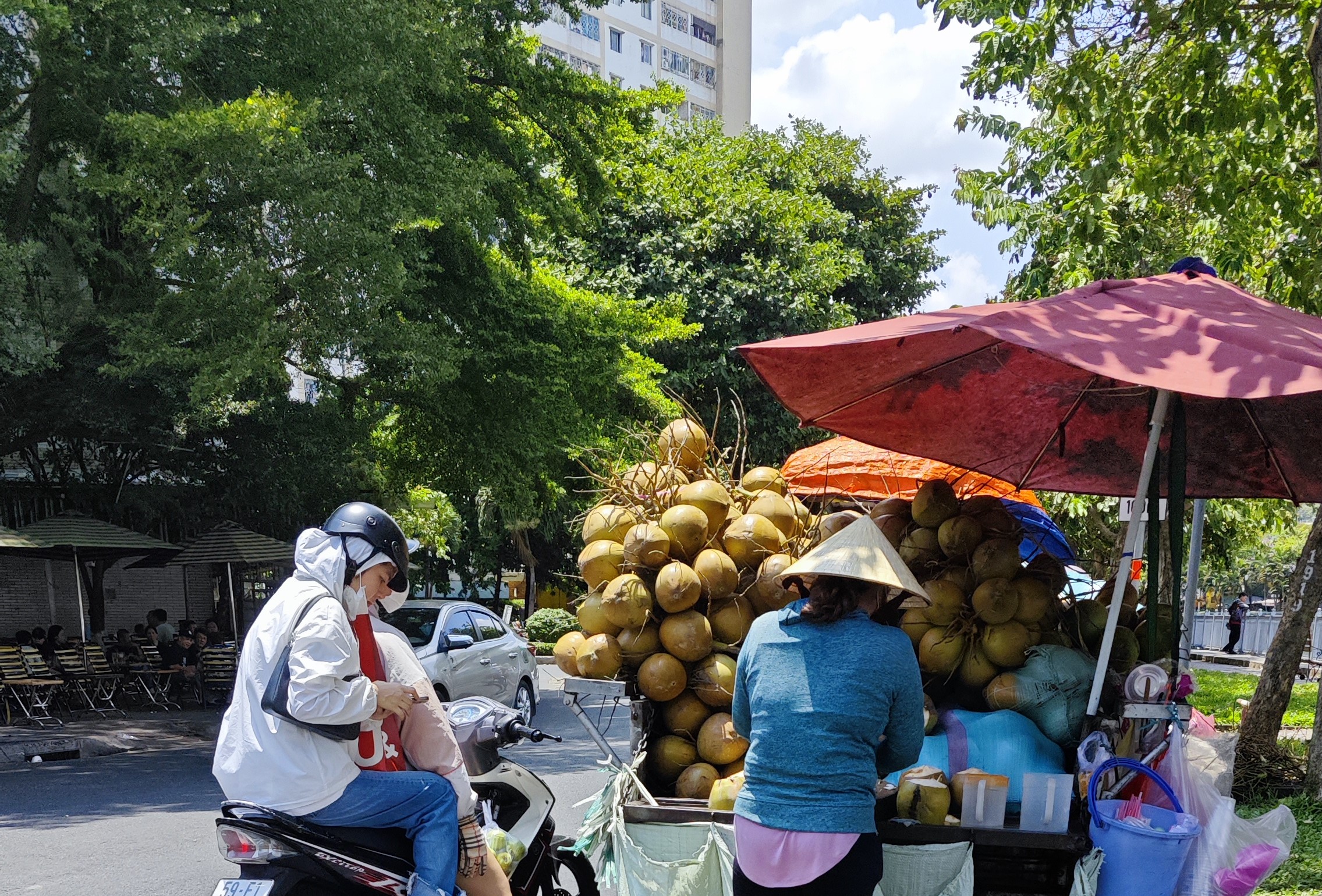 Một loại quả vừa tăng gi&aacute; gấp đ&ocirc;i chỉ sau 1 th&aacute;ng nắng n&oacute;ng- Ảnh 1.