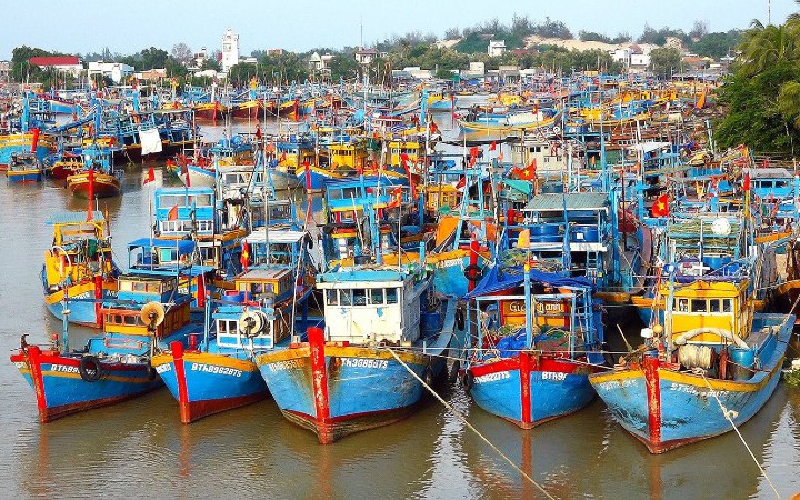Nỗ lực gỡ thẻ vàng IUU (*): Nhiều vướng mắc cần được giải quyết