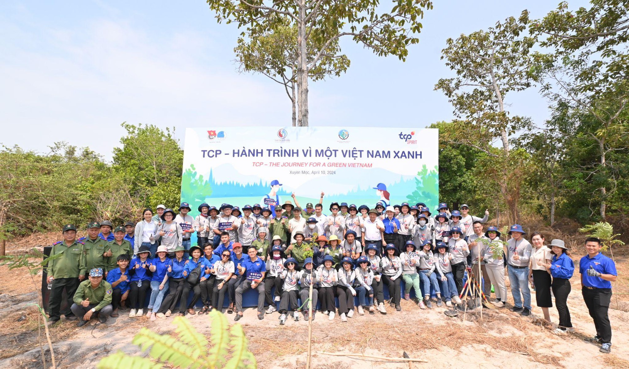 2.700 c&acirc;y lim được trồng tại tỉnh B&agrave; Rịa Vũng T&agrave;u cho Việt Nam th&ecirc;m xanh- Ảnh 1.