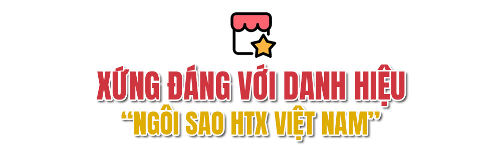 Ng&ocirc;i sao HTX khuyến m&atilde;i mừng đại lễ- Ảnh 7.
